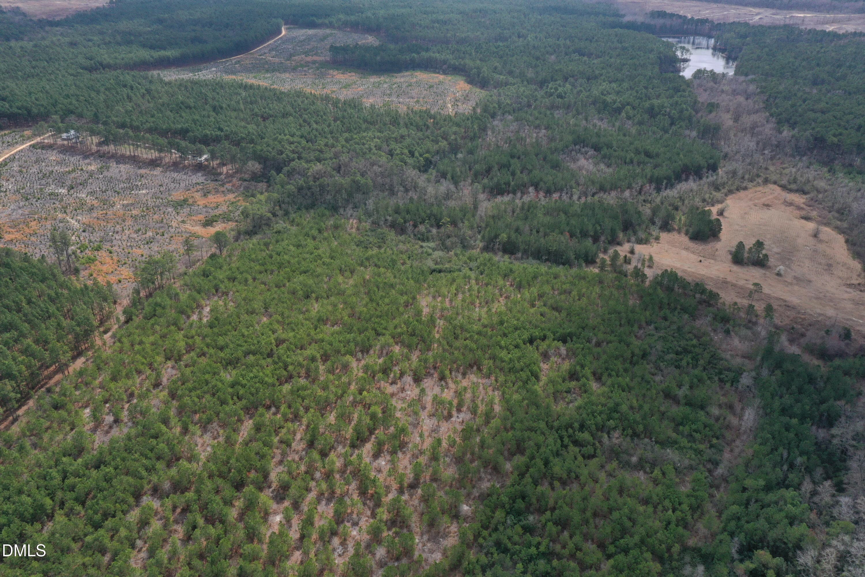 DJI_0182 - 0 Ramsey Street, Linden, NC 28356