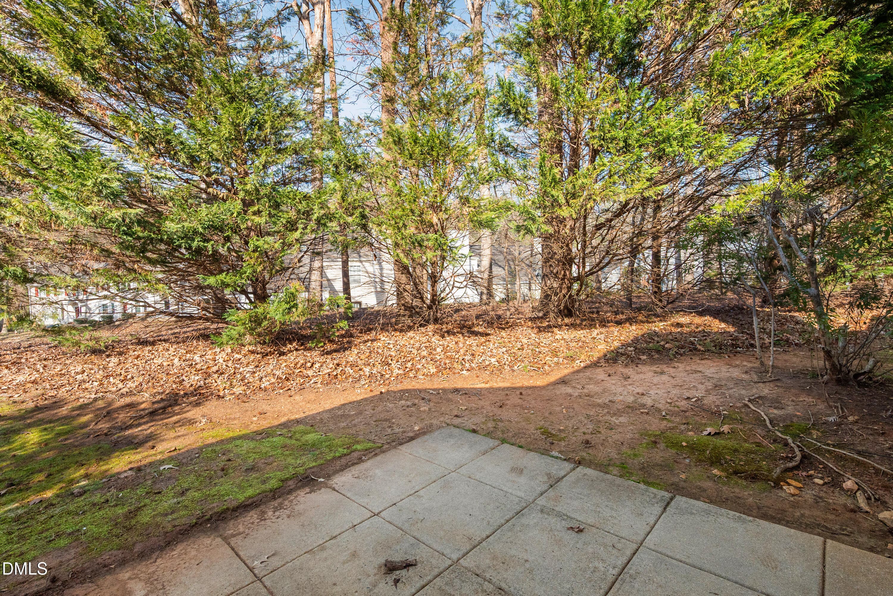109LVR_30 - 109 Linville River Road, Cary, NC 27511, Cary