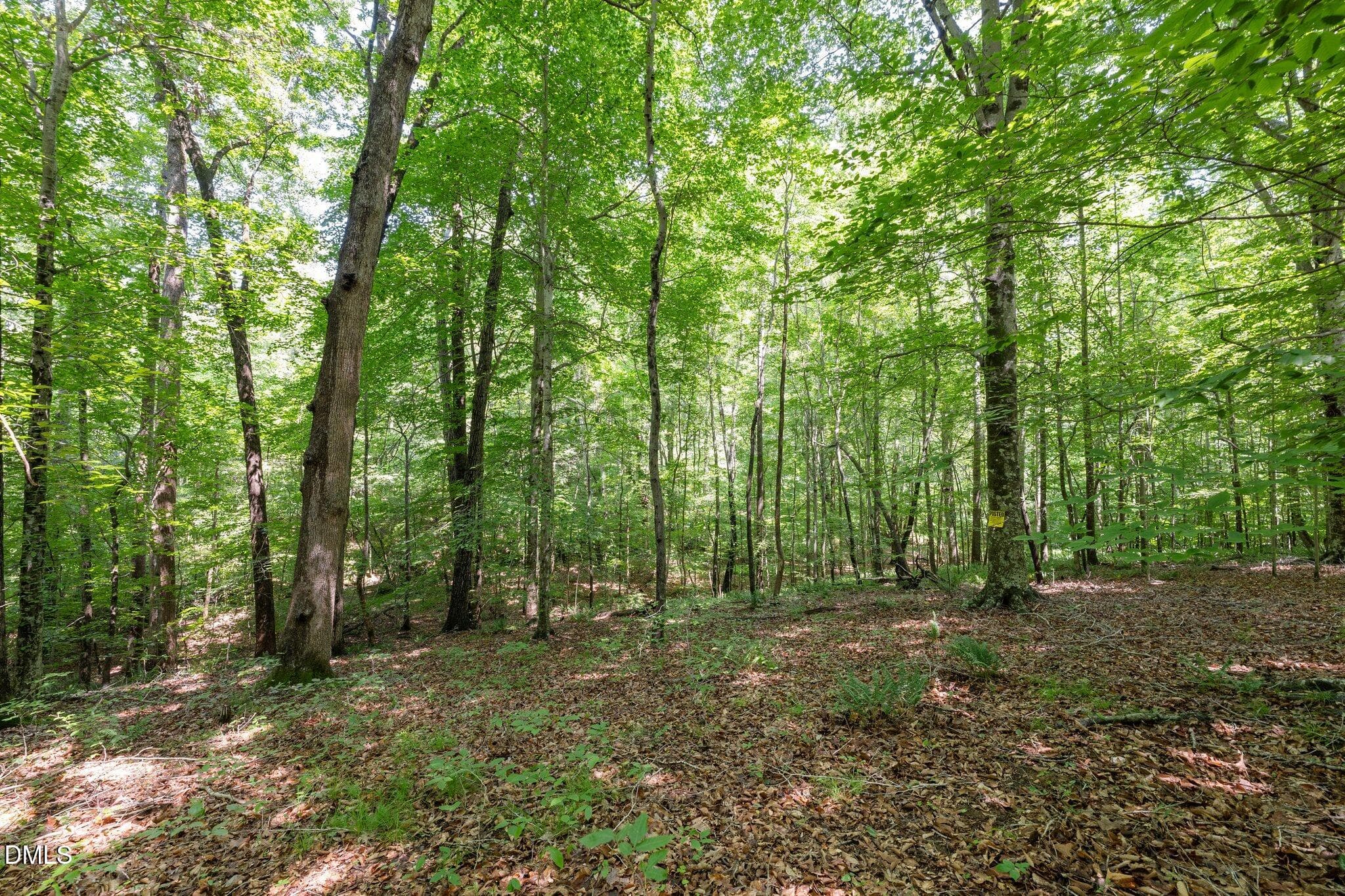 18-web-or-mls-_1397599 - 6910 Long Meadow Lane, Whitsett, NC 27377