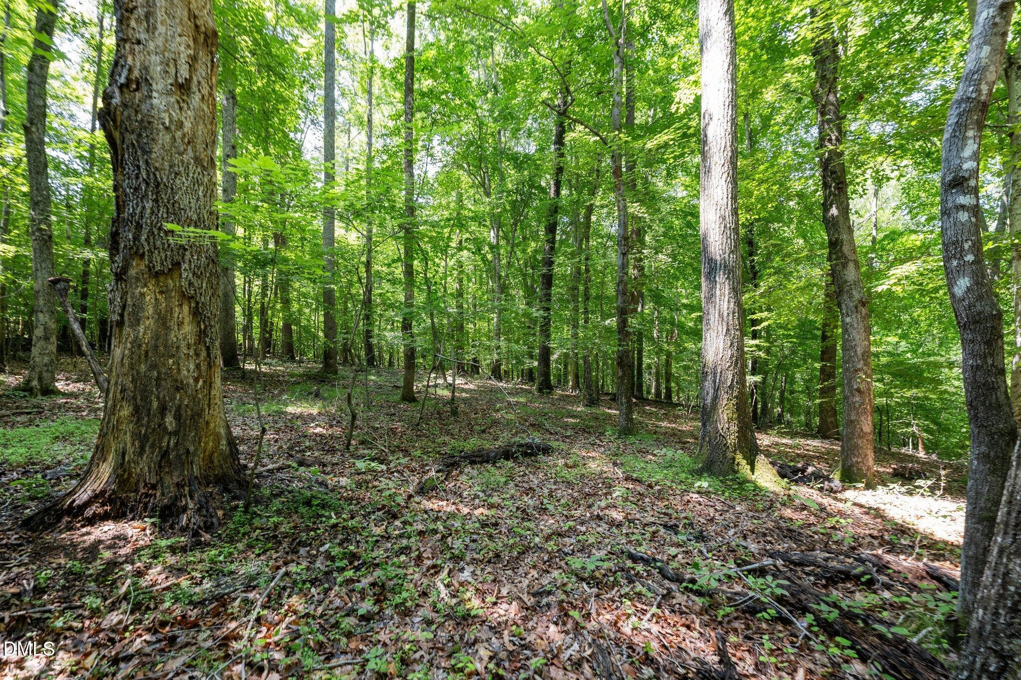 24-web-or-mls-_1397605 - 6910 Long Meadow Lane, Whitsett, NC 27377