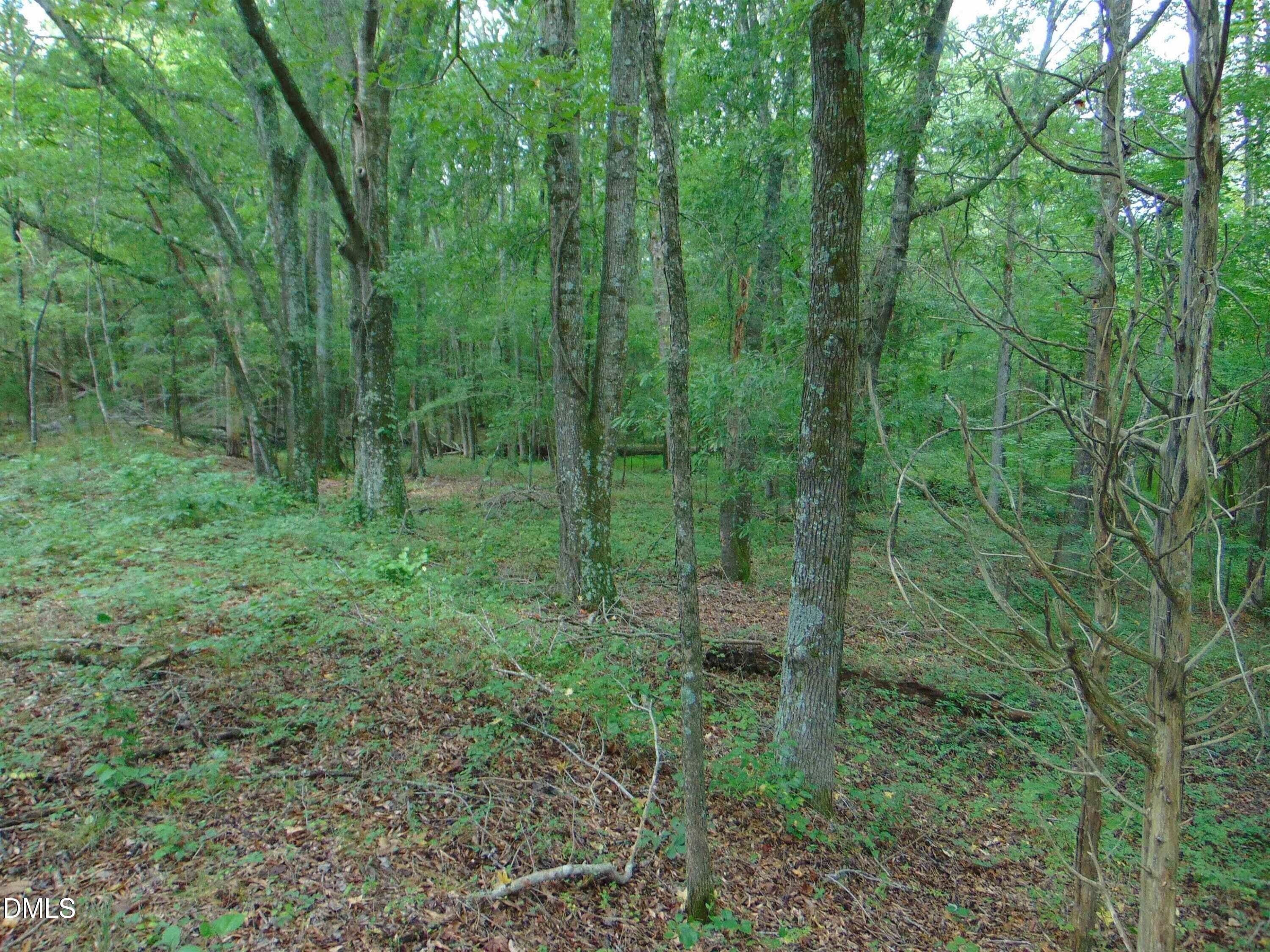 10 - Lot 2 Caviness Jordan Road, Cedar Grove, NC 27231