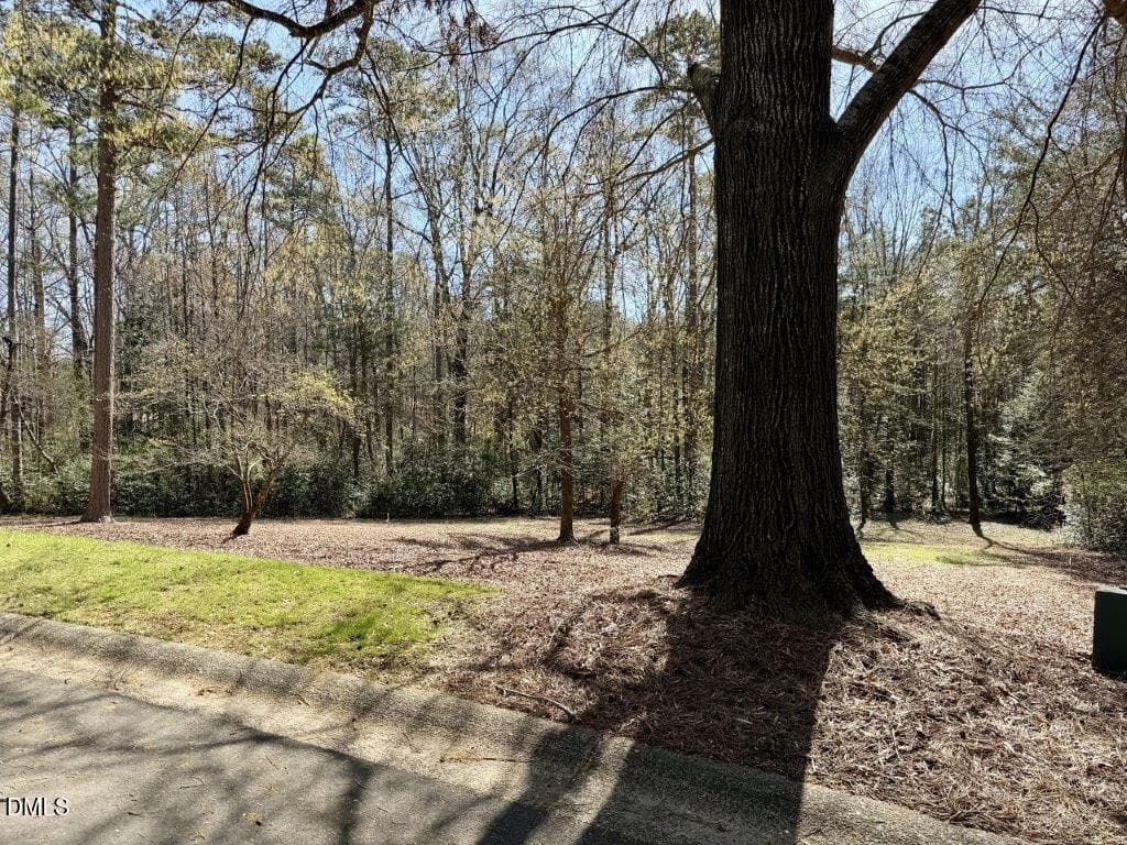 IMG_1106 - 223 Millingport Lane, New London, NC 28127