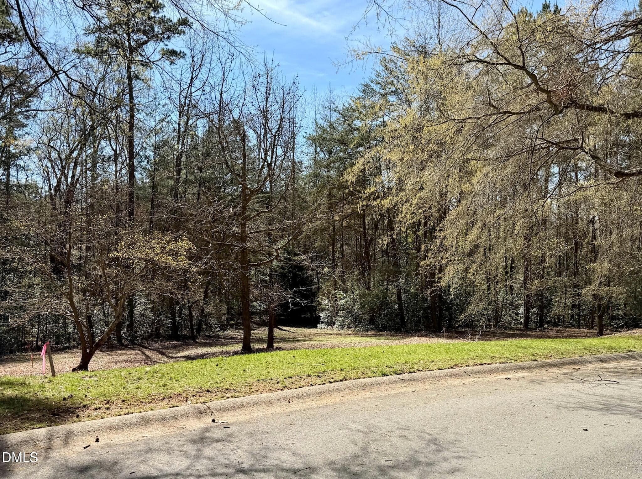 View of Lot - 223 Millingport Lane, New London, NC 28127