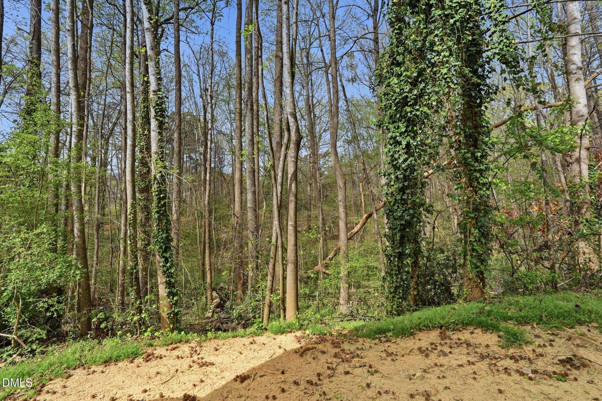 026_ListerPros - 2826 Herndon Village Way, Raleigh, NC 27610, Raleigh