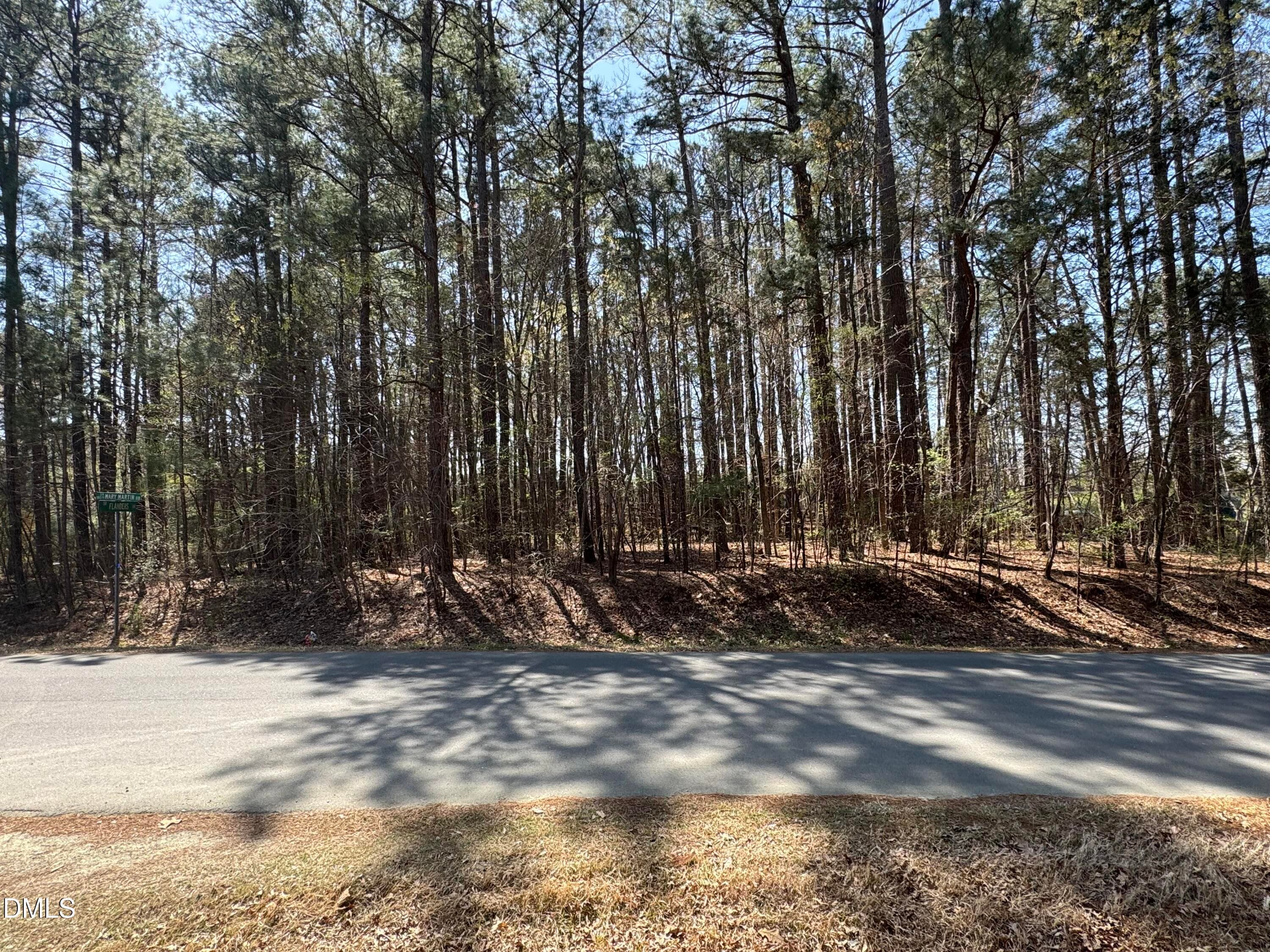 IMG_8973 - 3900 Mary Martin Road, Durham, NC 27703, Durham
