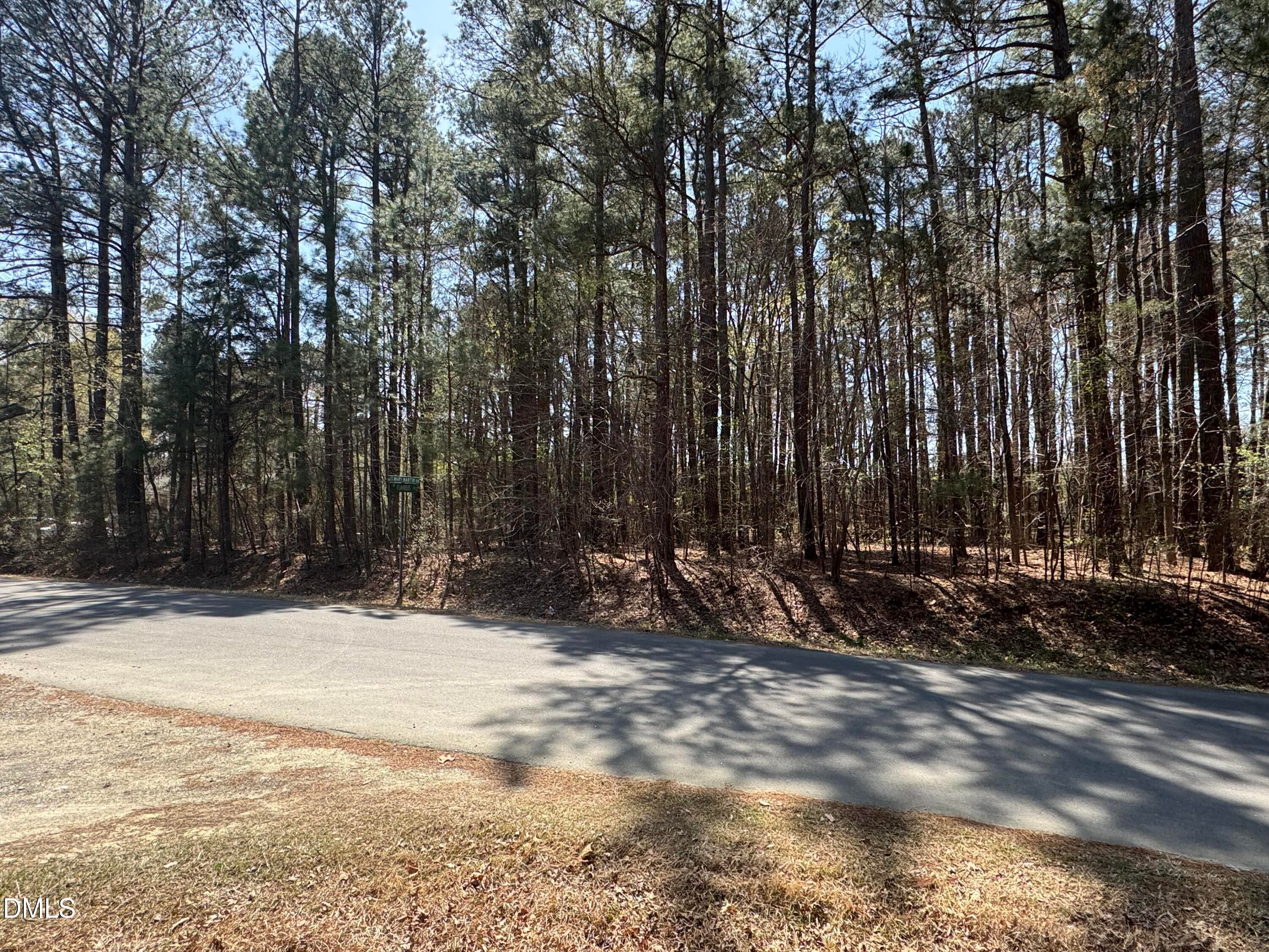 IMG_8974 - 3900 Mary Martin Road, Durham, NC 27703, Durham
