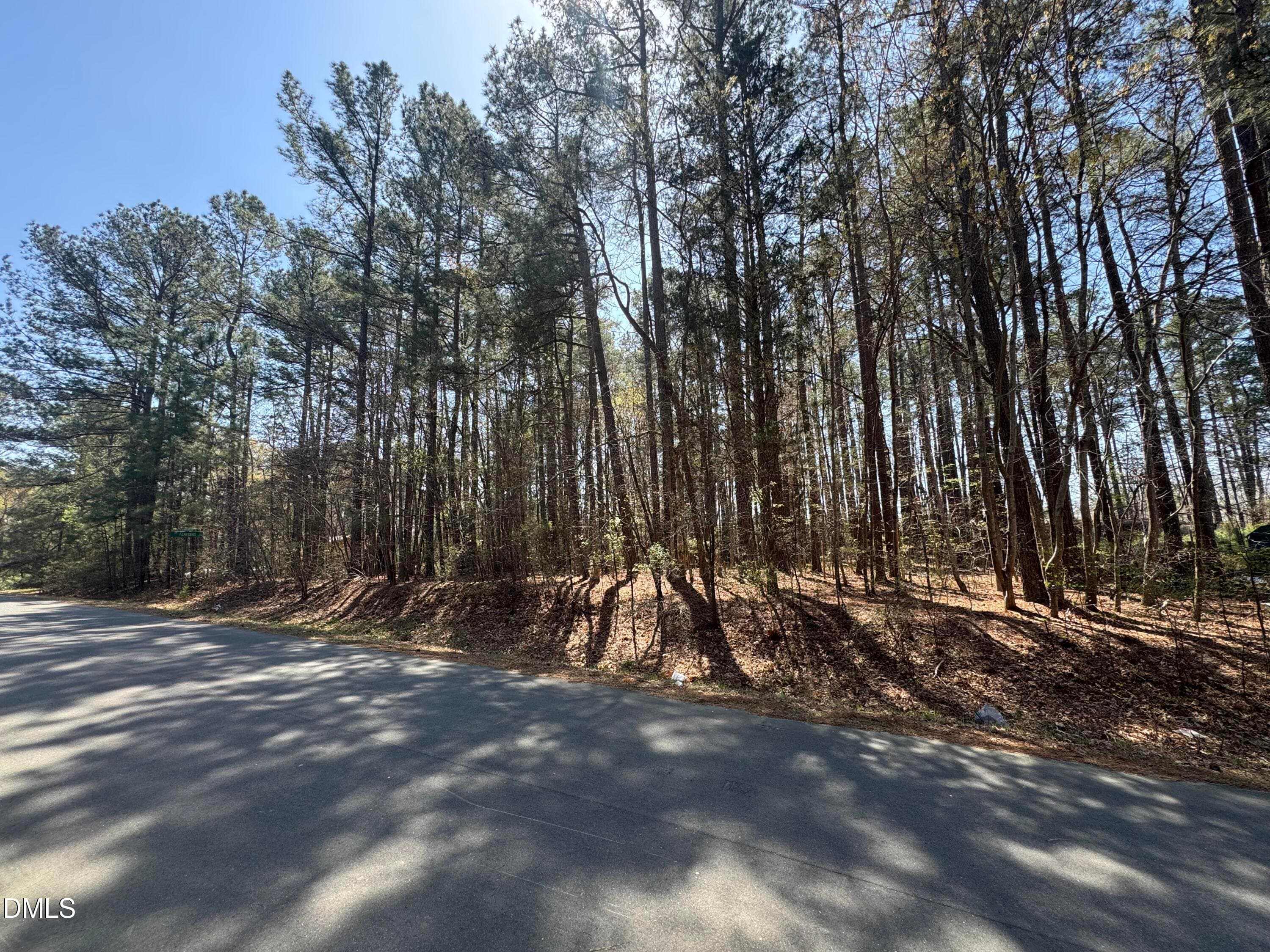 IMG_8975 - 3900 Mary Martin Road, Durham, NC 27703, Durham