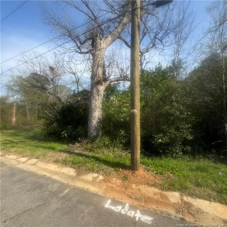 Photo 2 - 228 Gulf Street, Laurinburg, NC 28352, Laurinburg