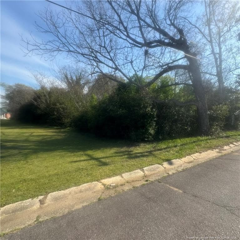 Photo 3 - 228 Gulf Street, Laurinburg, NC 28352, Laurinburg
