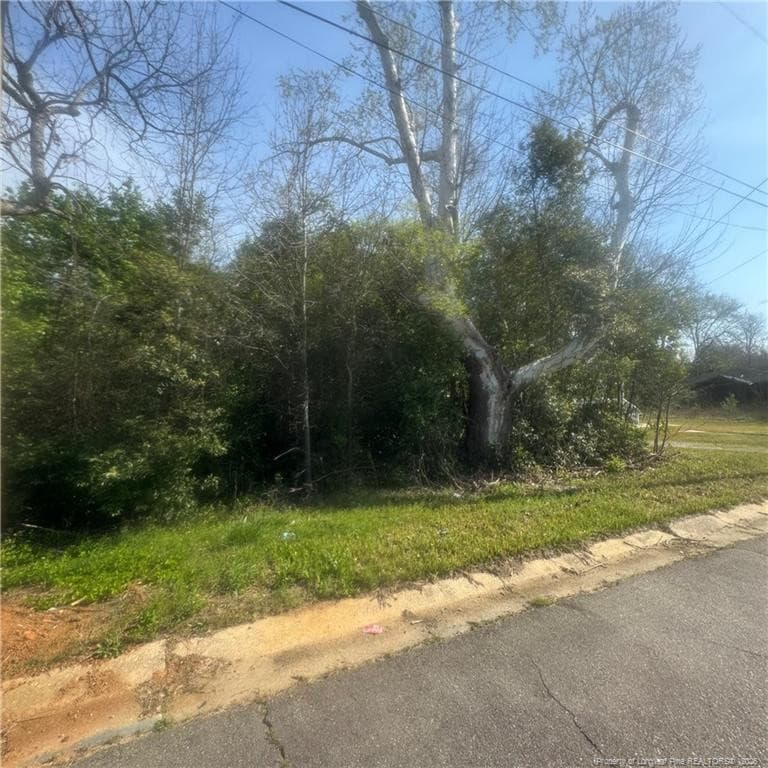 Photo 4 - 228 Gulf Street, Laurinburg, NC 28352, Laurinburg