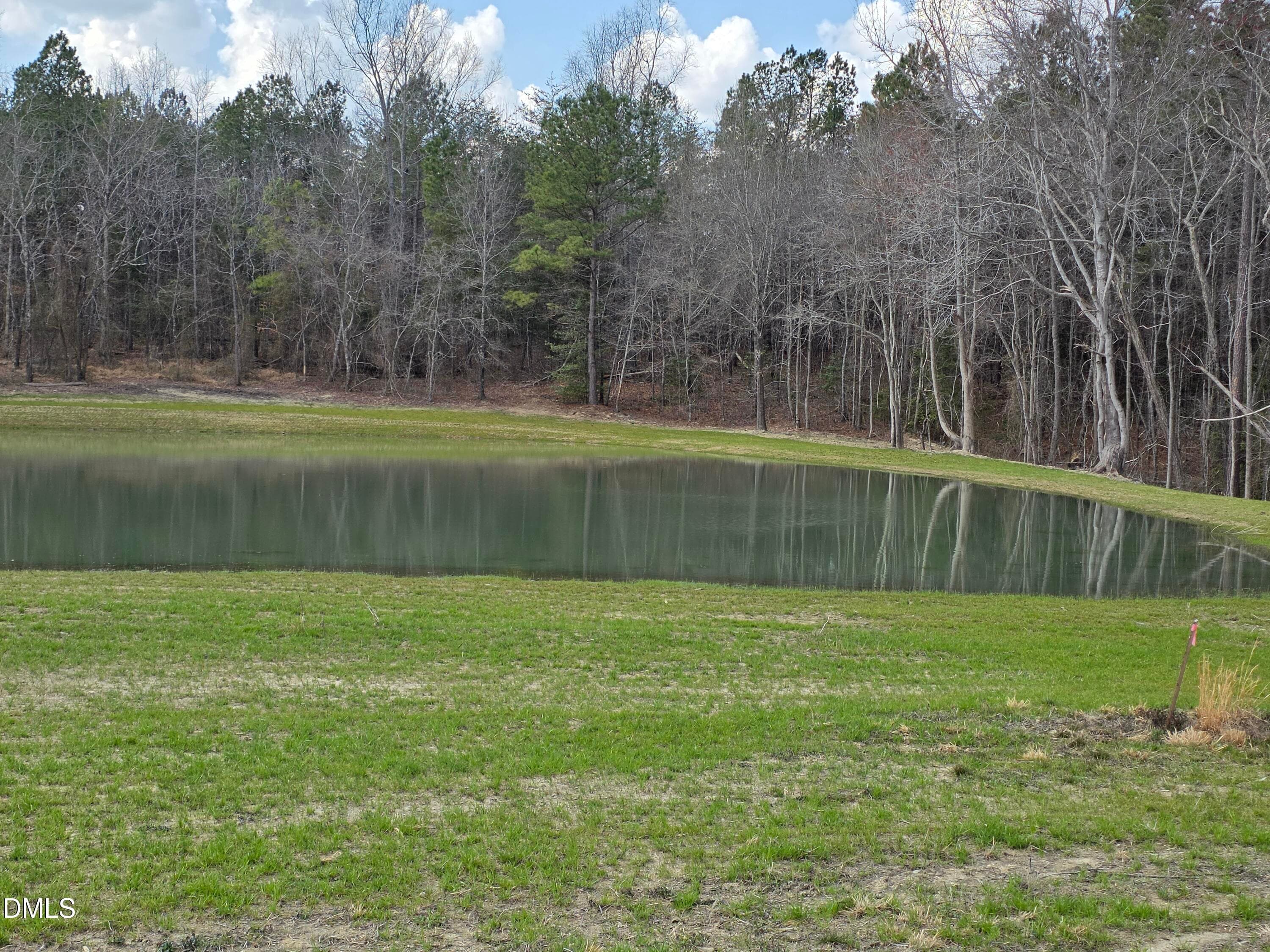 NEIGHBORHOOD POND - 115 Water Willow Lane, Zebulon, NC 27597