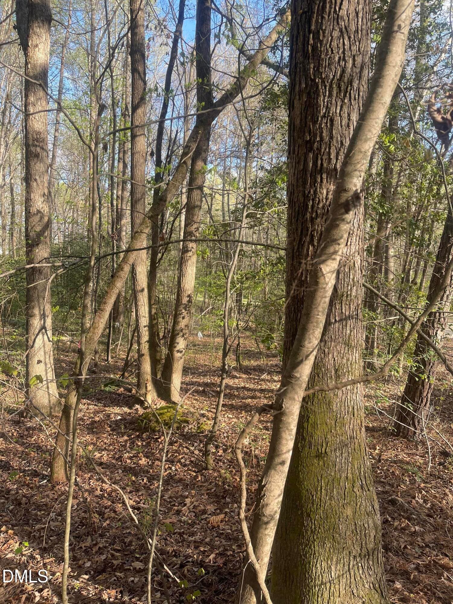 Ed Ln 2 - 0 Ed Lane, Carthage, NC 28327, Carthage