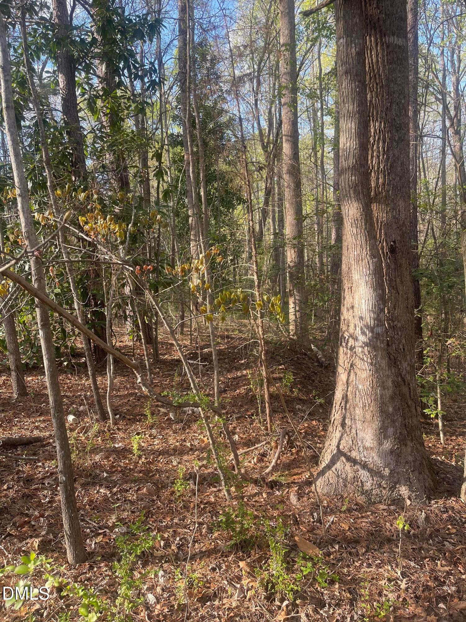Ed Ln 3 - 0 Ed Lane, Carthage, NC 28327, Carthage