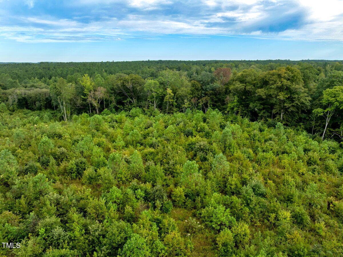 drone inside view from tree line - 7 & 7a Richardson Road, Warrenton, NC 27589