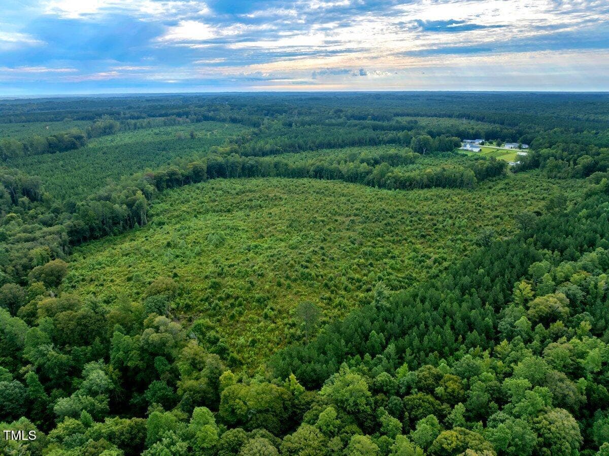 drone skyline view #2 - 7 & 7a Richardson Road, Warrenton, NC 27589
