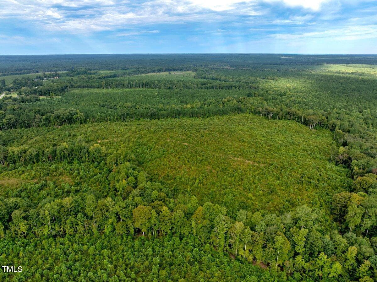 drone with tree line view - 7 & 7a Richardson Road, Warrenton, NC 27589