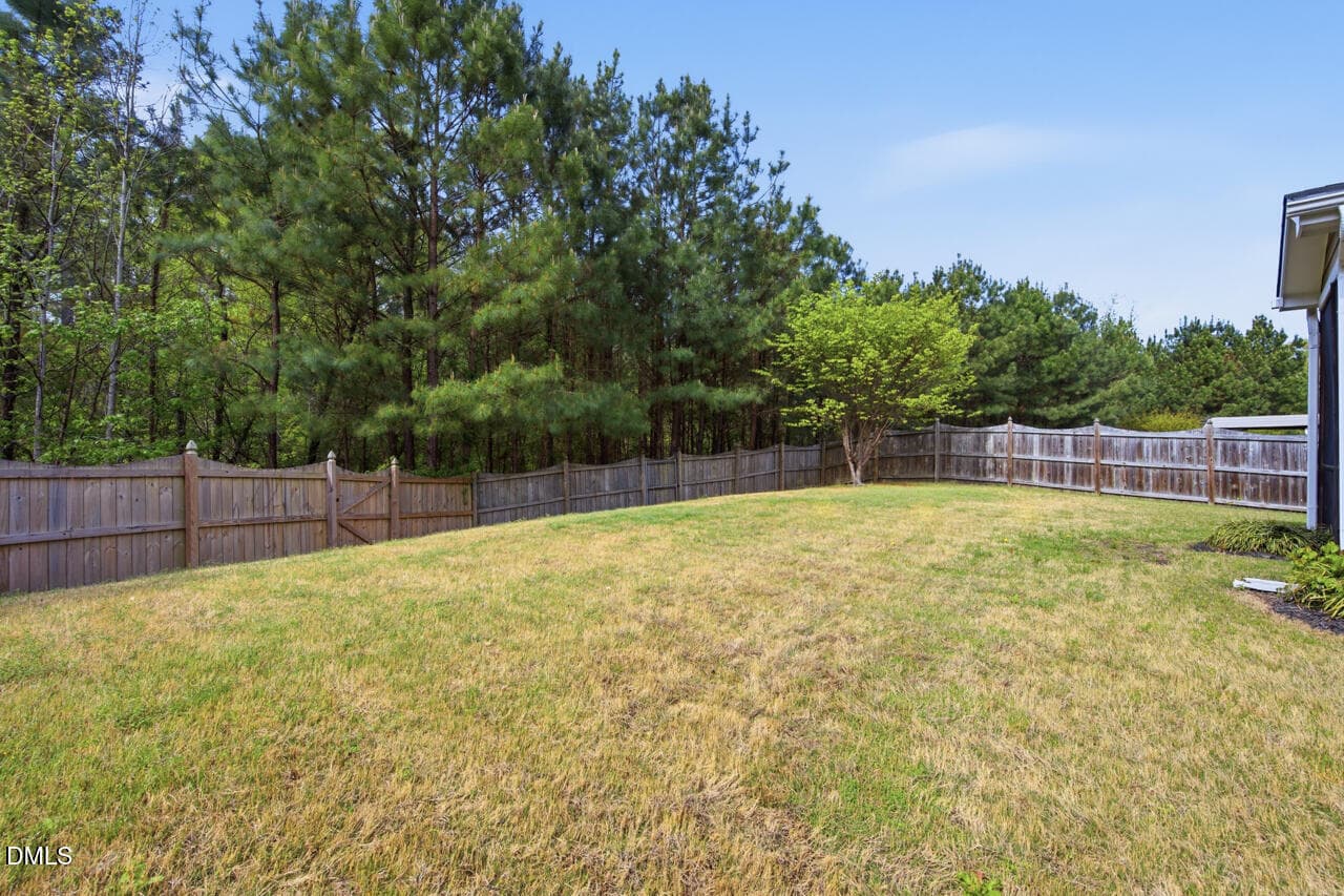 Wooded Buffer - 108 Glenview Lane, Durham, NC 27703, Durham