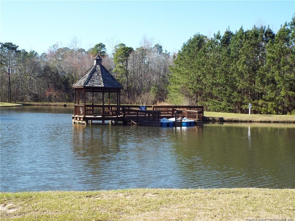 Community Paddle Boats - 68 Heatherspring Way, Spring Lake, NC 28390