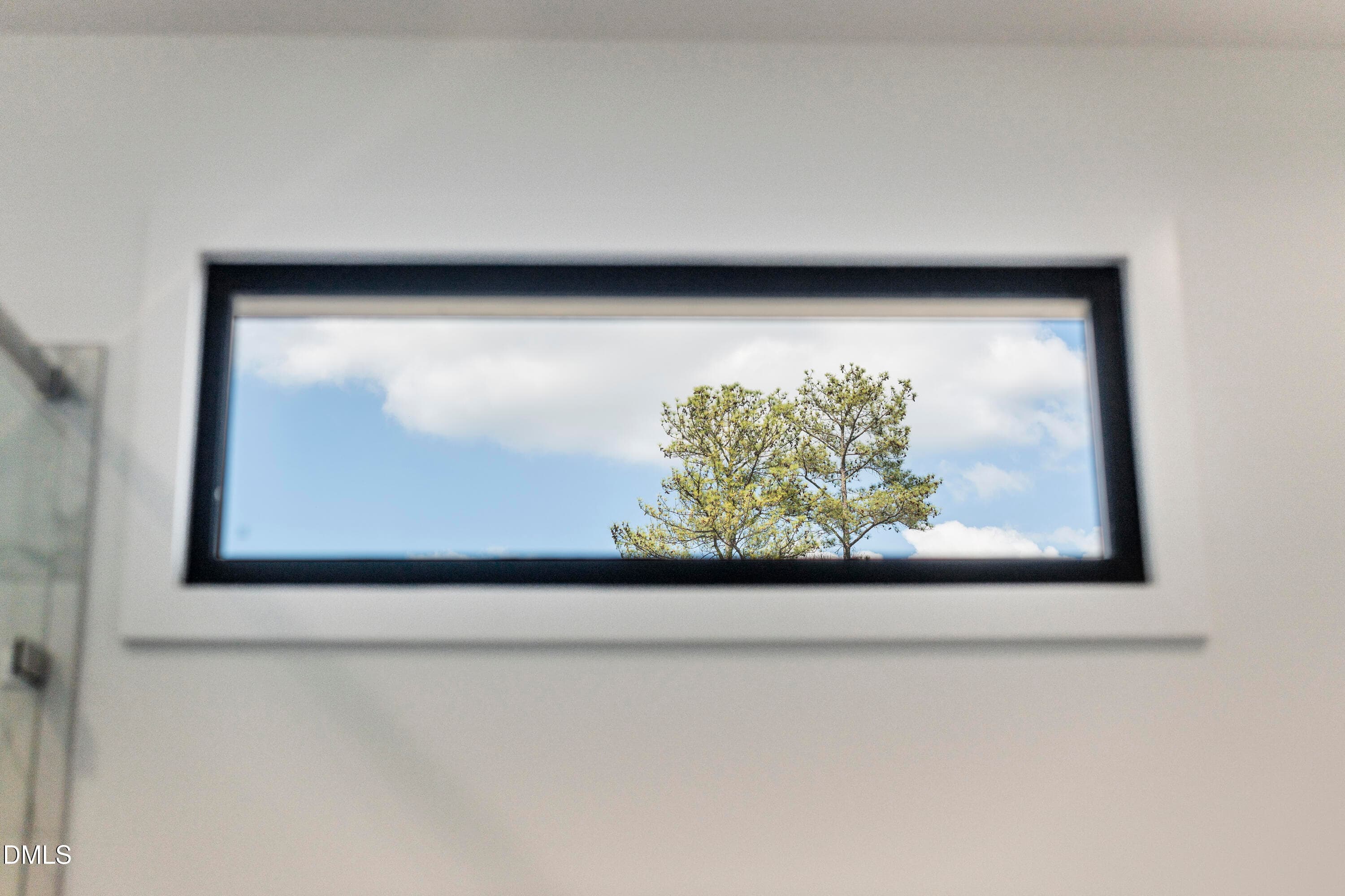 Natural Light - 1100 Nova Street, Durham, NC 27713, Durham