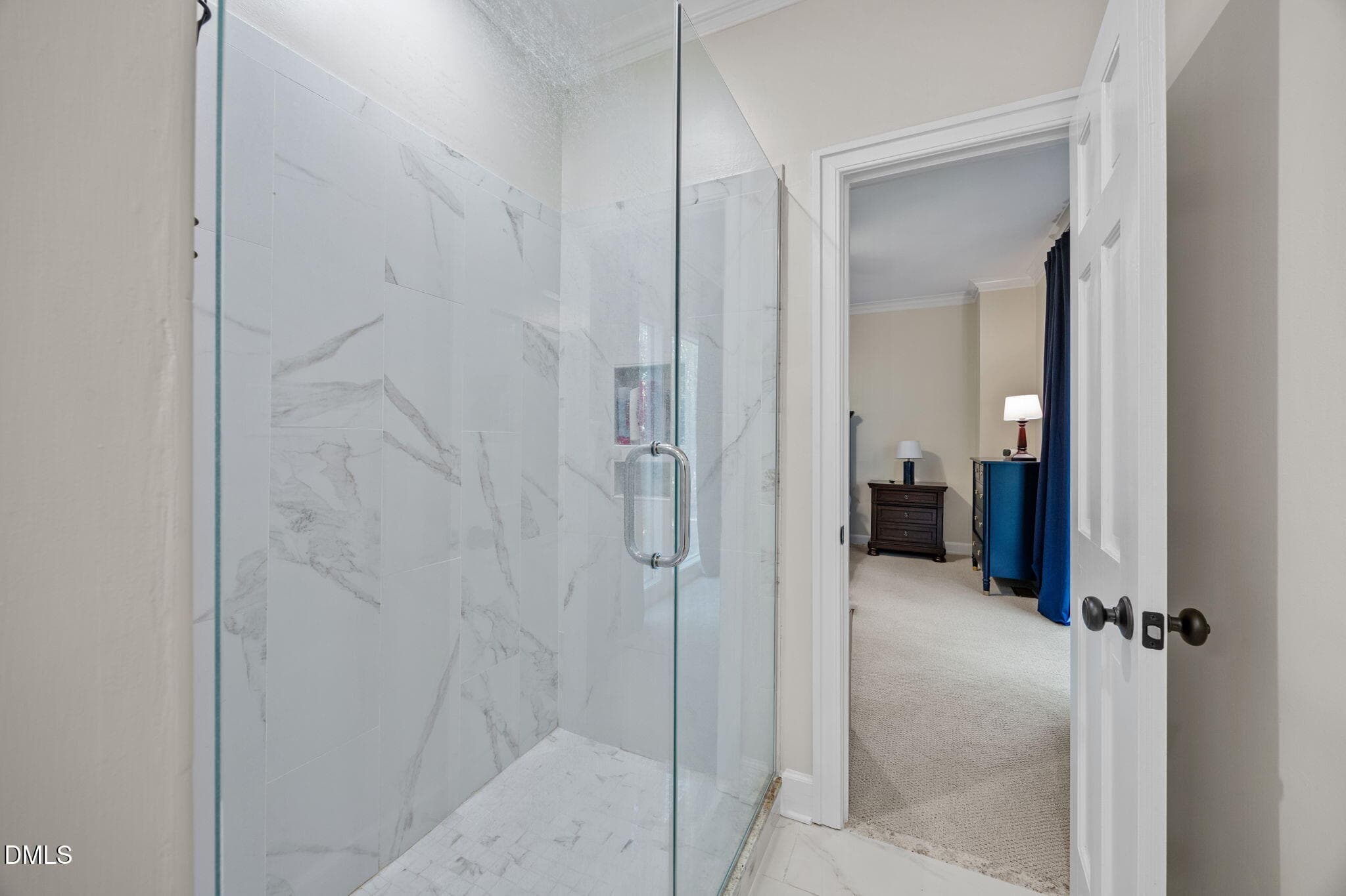 Downstairs shower off bedroom - 10773 Trego Trail, Raleigh, NC 27614, Raleigh