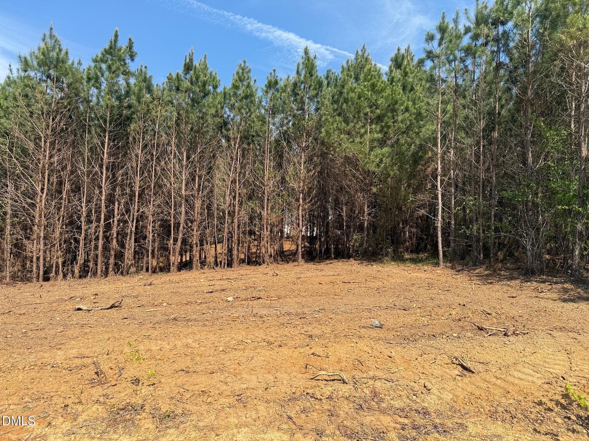 IMG_3259 - 2345 Peachtree Hills Road, Spring Hope, NC 27882