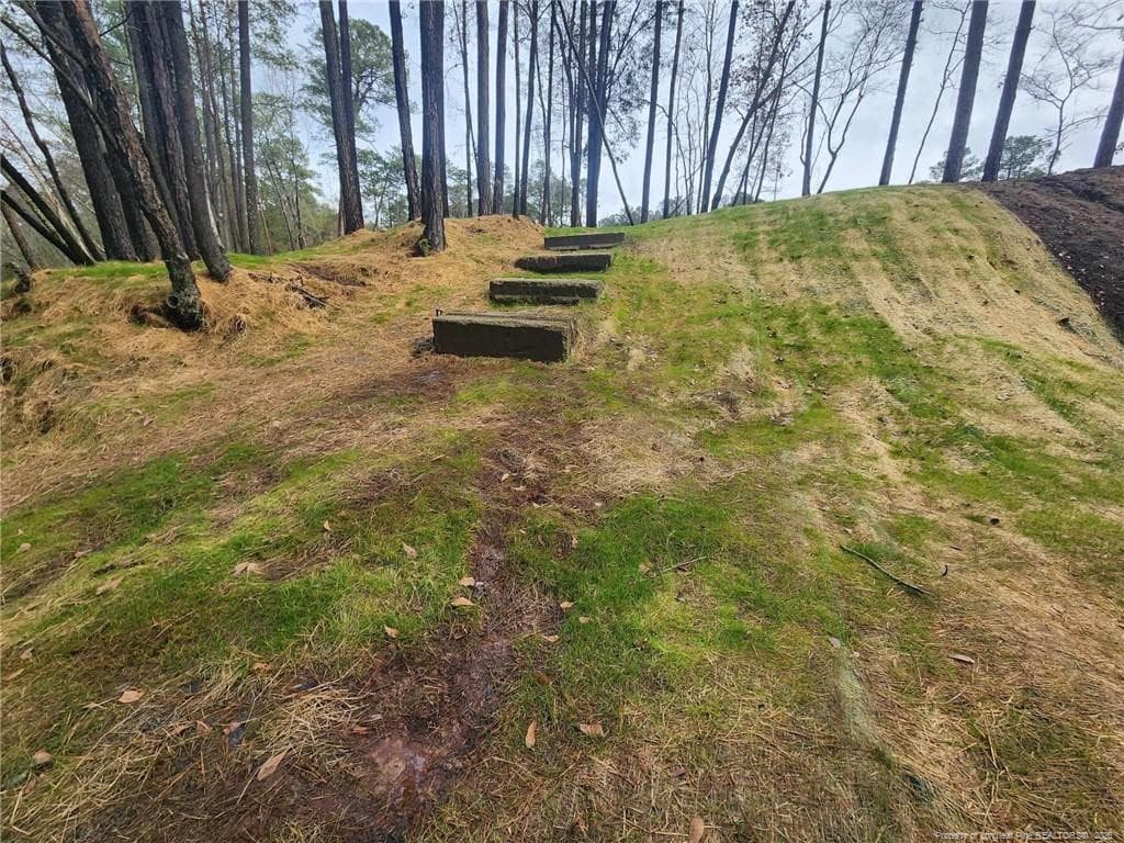 Photo 10 - 504 Porter Road, Hope Mills, NC 28348
