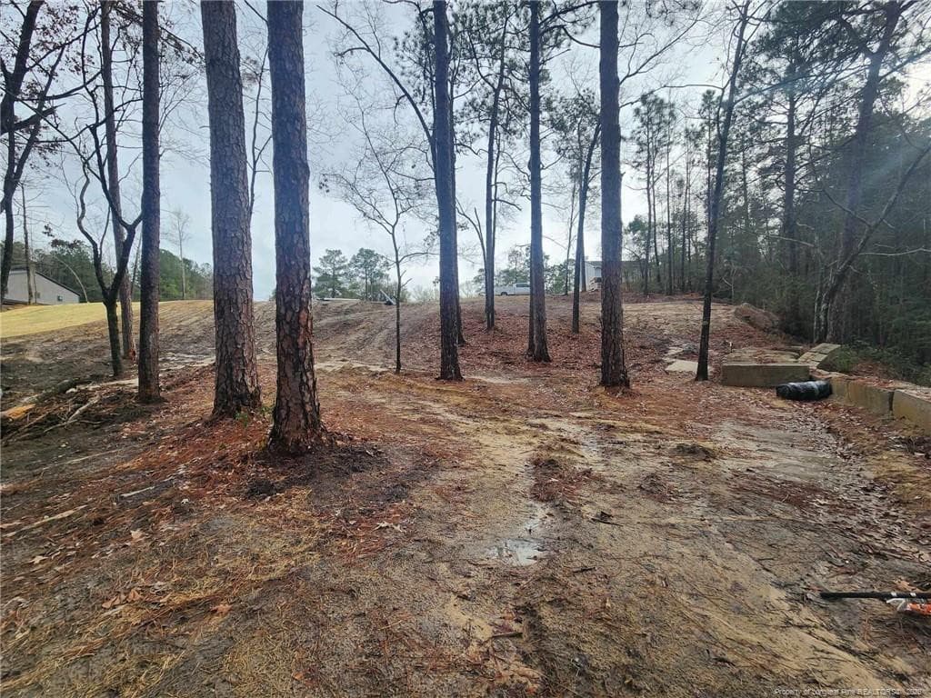 Photo 12 - 504 Porter Road, Hope Mills, NC 28348