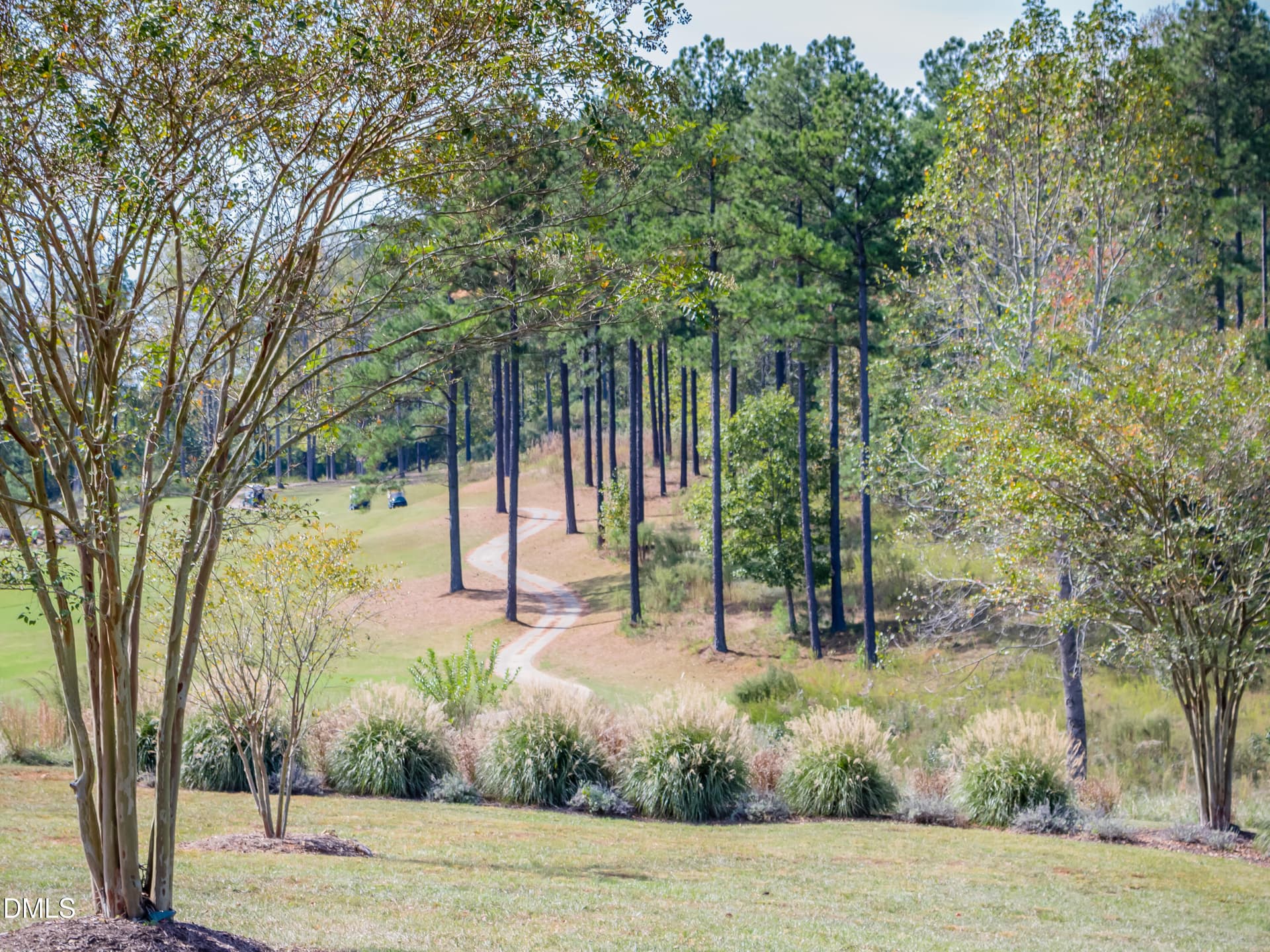 09-ChapelRidge-20171021 - 64 Mist Wood Court, Pittsboro, NC 27312
