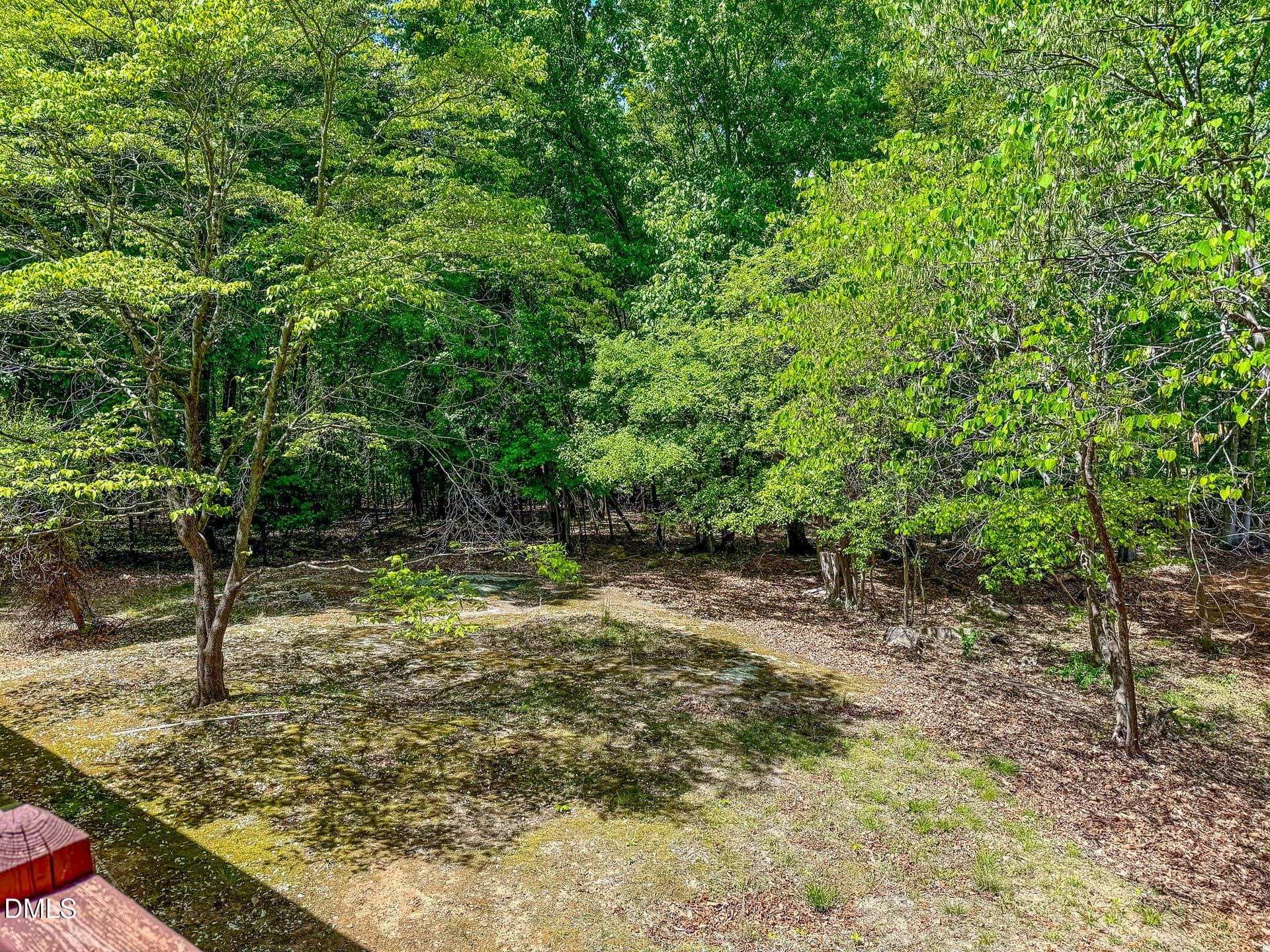IMG_2752 - 11 Denada Path, Roxboro, NC 27574