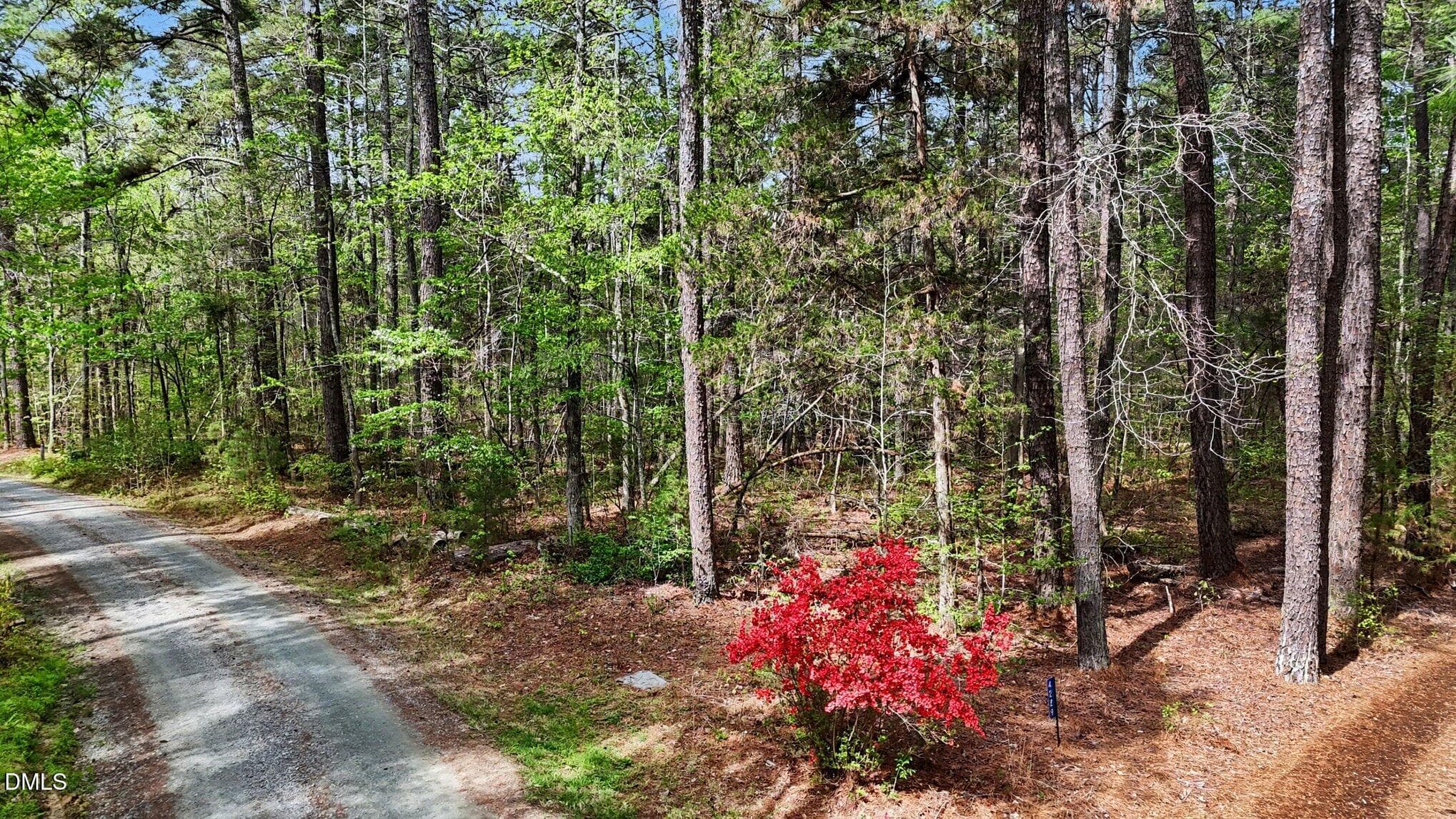 002_file_5970 - Tbd Elg Road, Efland, NC 27243