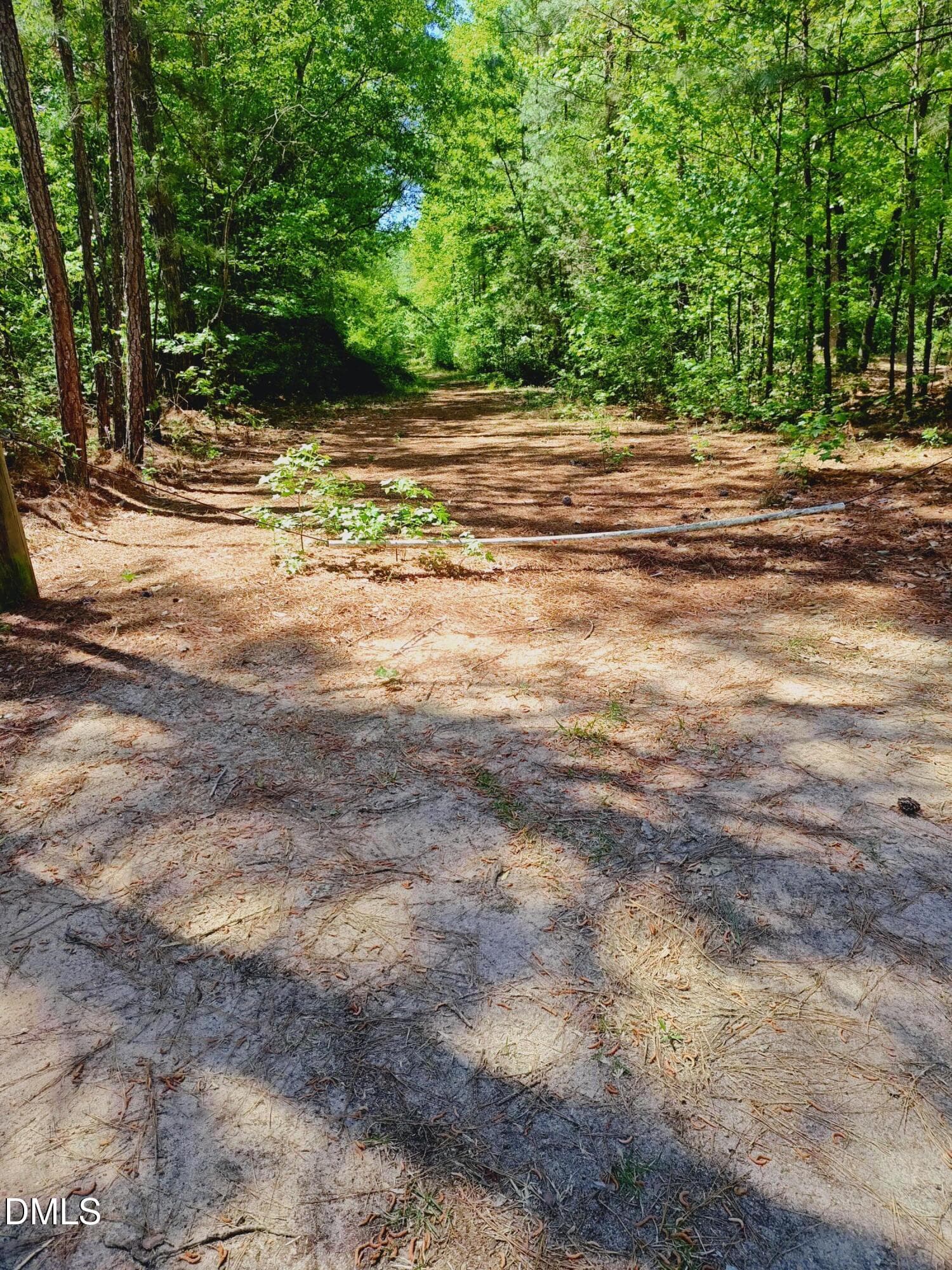 Bob White Dr - 859 Bob White Drive, Vass, NC 28394