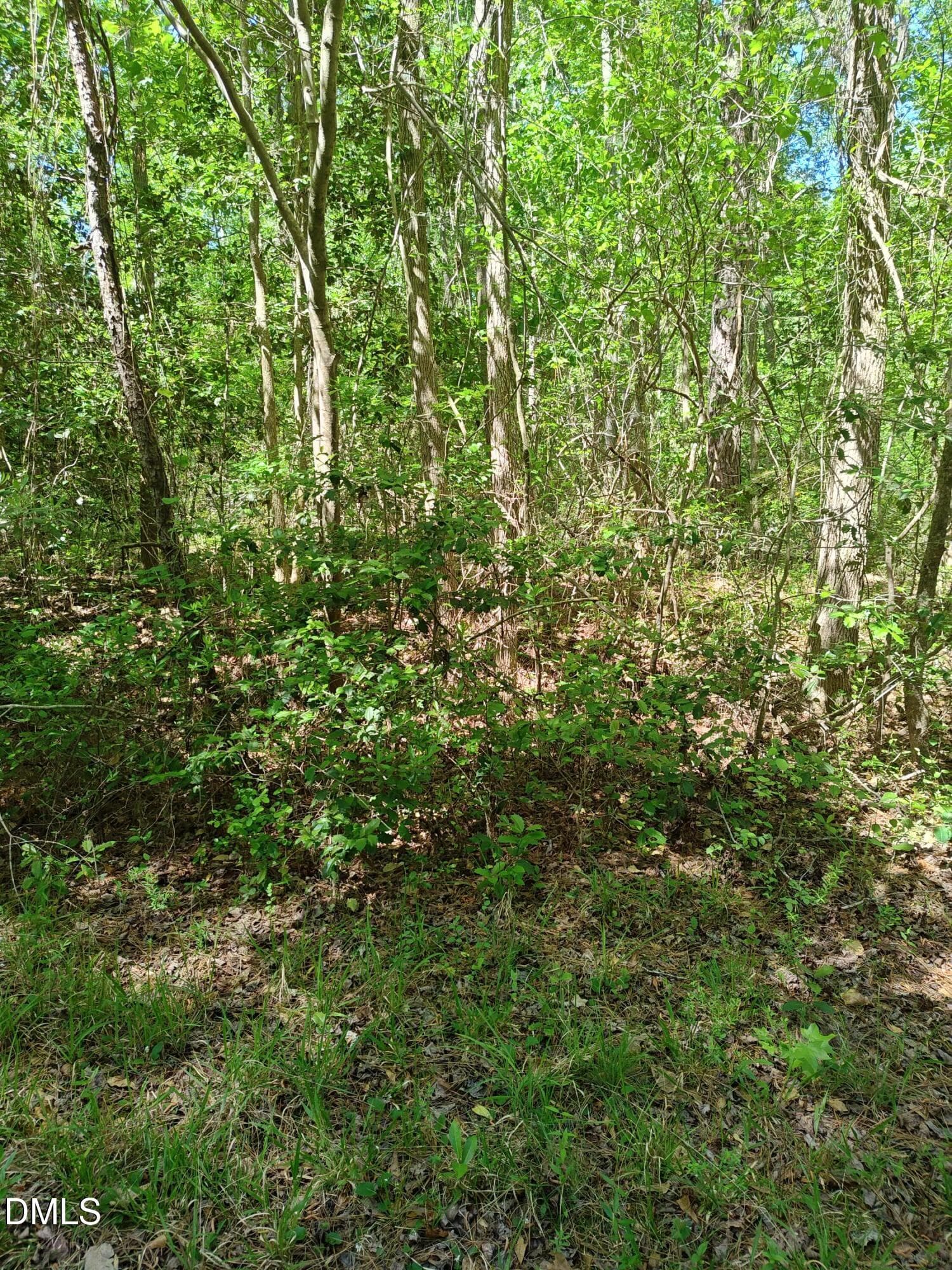 Lot - 859 Bob White Drive, Vass, NC 28394