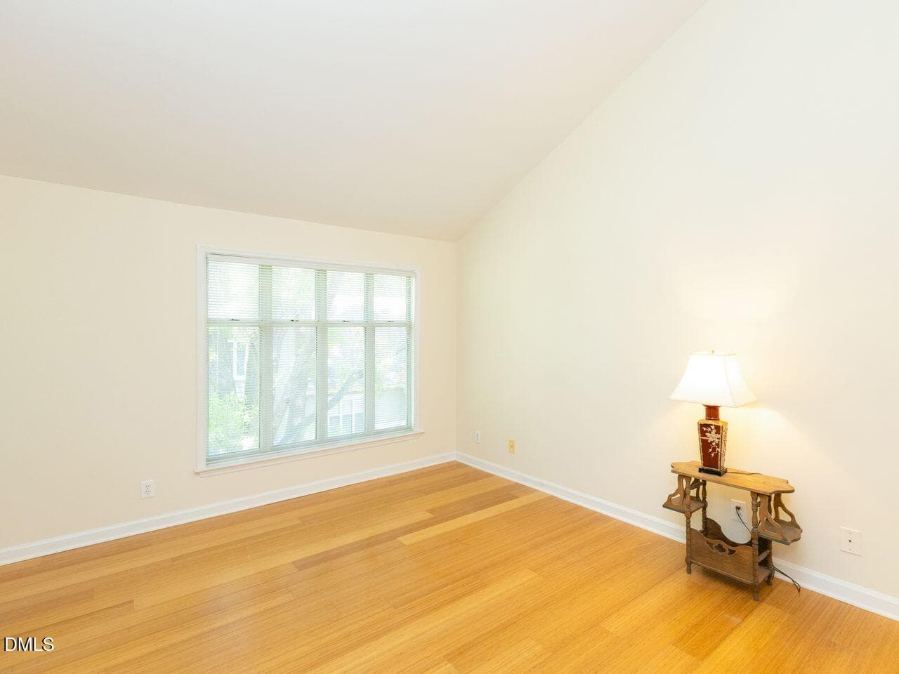 Wv21 - 1211 Westview Lane 305, Raleigh, NC 27605, Raleigh