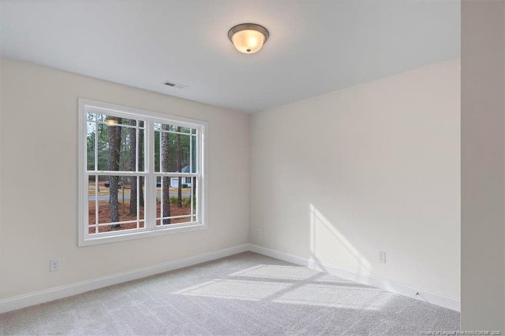 Photo 33 - 30121 Deercroft Drive, Wagram, NC 28396