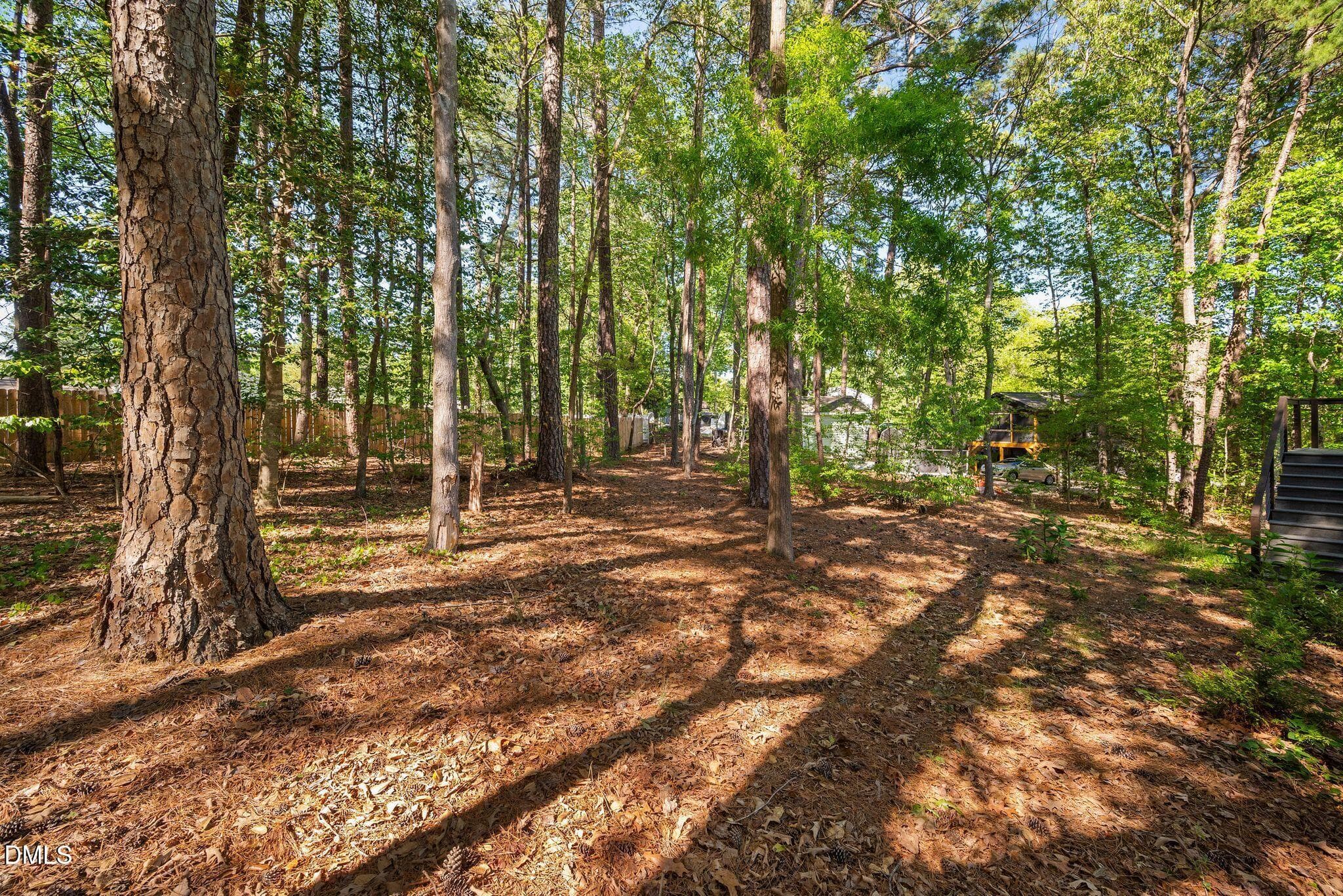 14_DSC_6862 - 313 Crown Oaks Drive, Raleigh, NC 27615, Raleigh