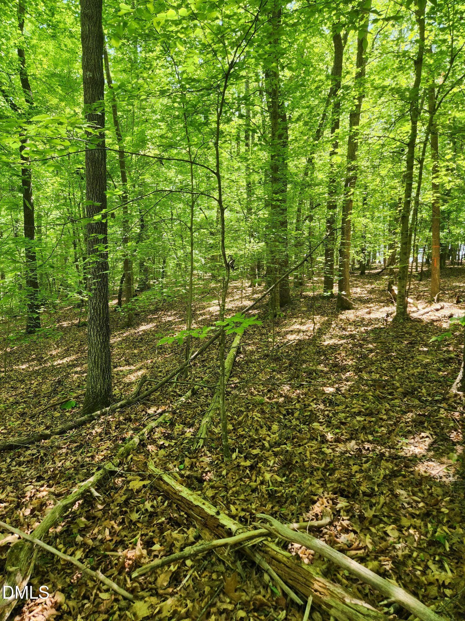 lylas ln 3 - Lot 2 Lylas Lane, Efland, NC 27243