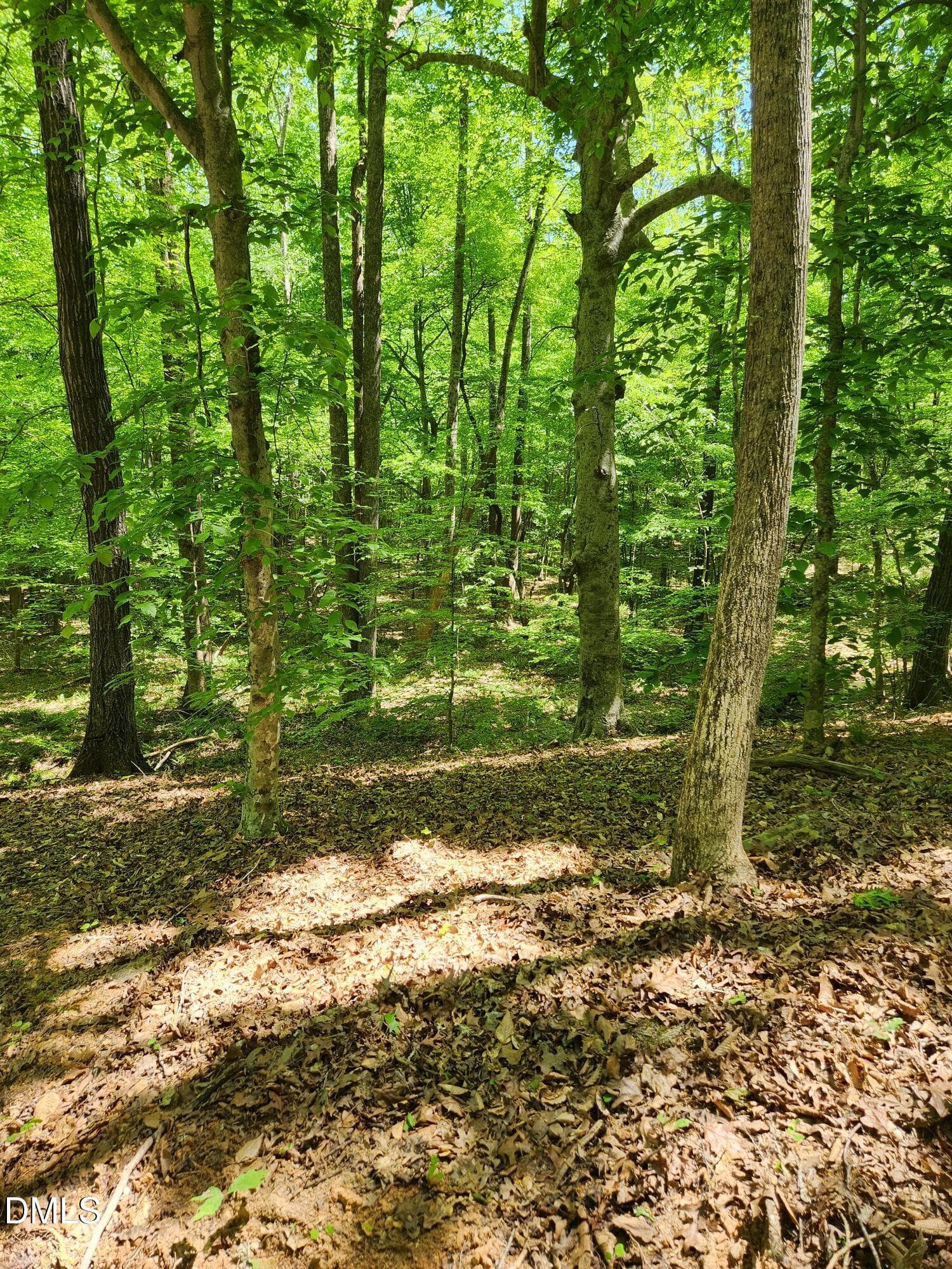 lylas ln 2 - Lot 2 Lylas Lane, Efland, NC 27243