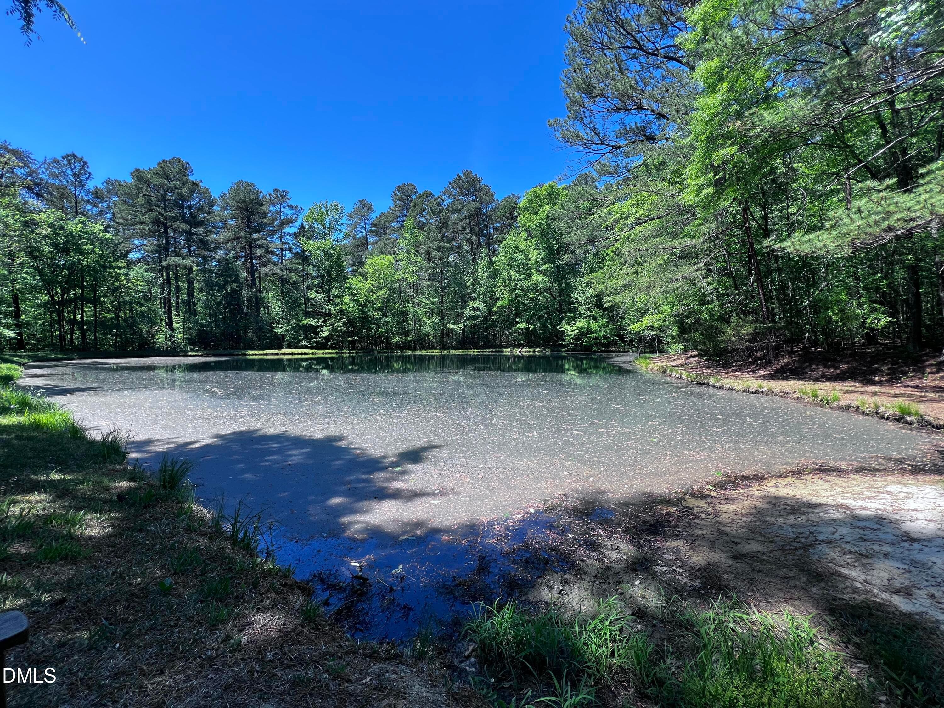 IMG_4058 - Tbd Elg Road, Efland, NC 27243