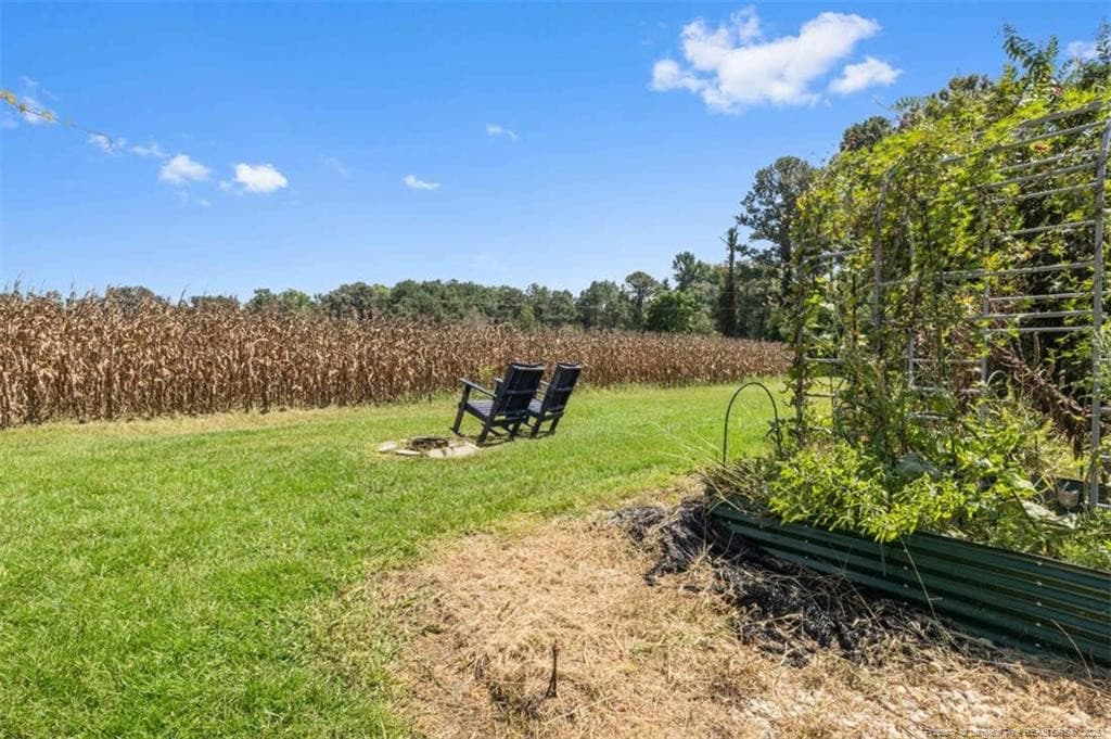 Photo 5 - 10958 and 10962 NC 904, Fairmont, NC 28340