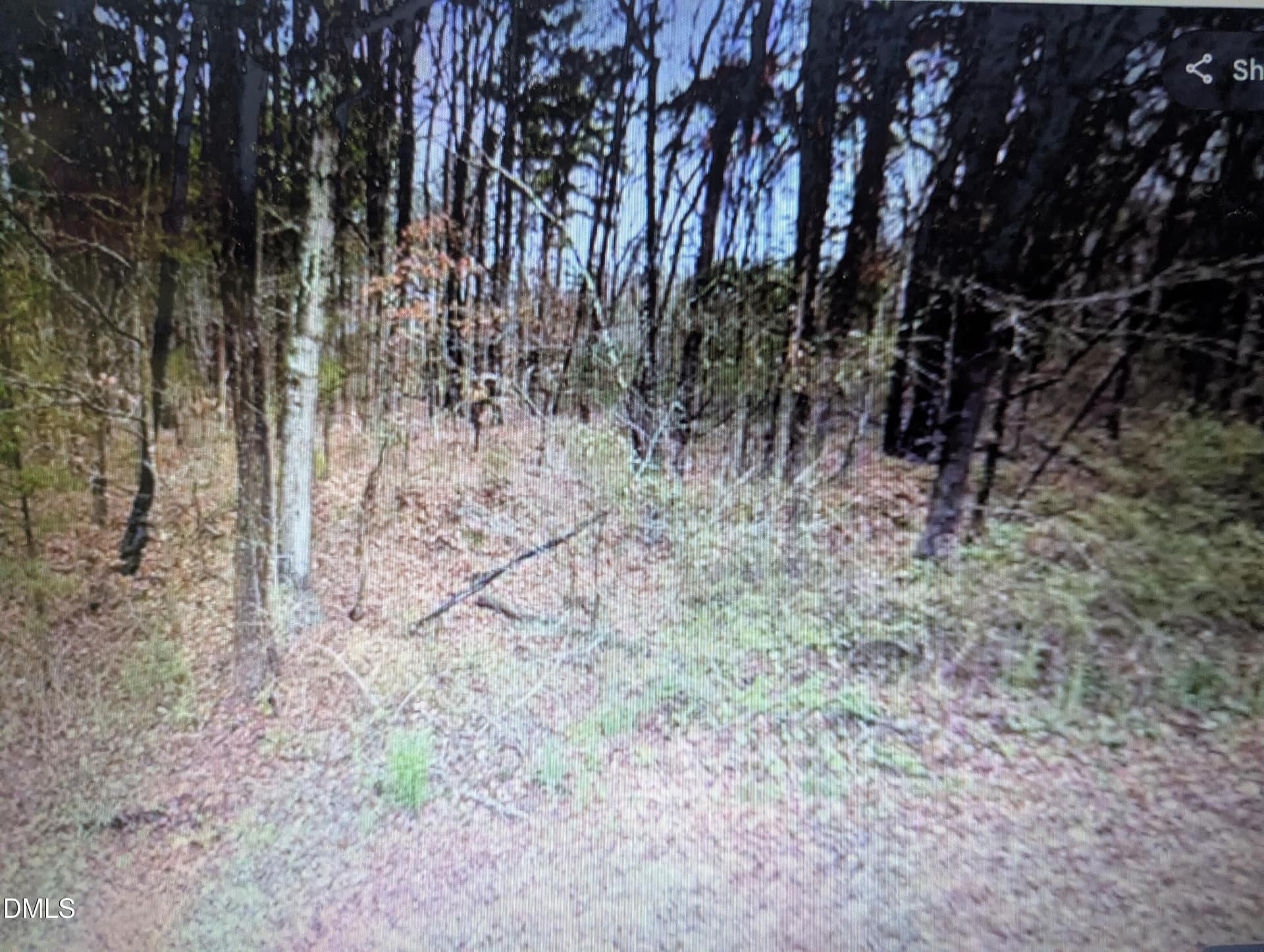 5_beyc69e27c95095fa - 9195 State Hwy 49, Roxboro, NC 27574