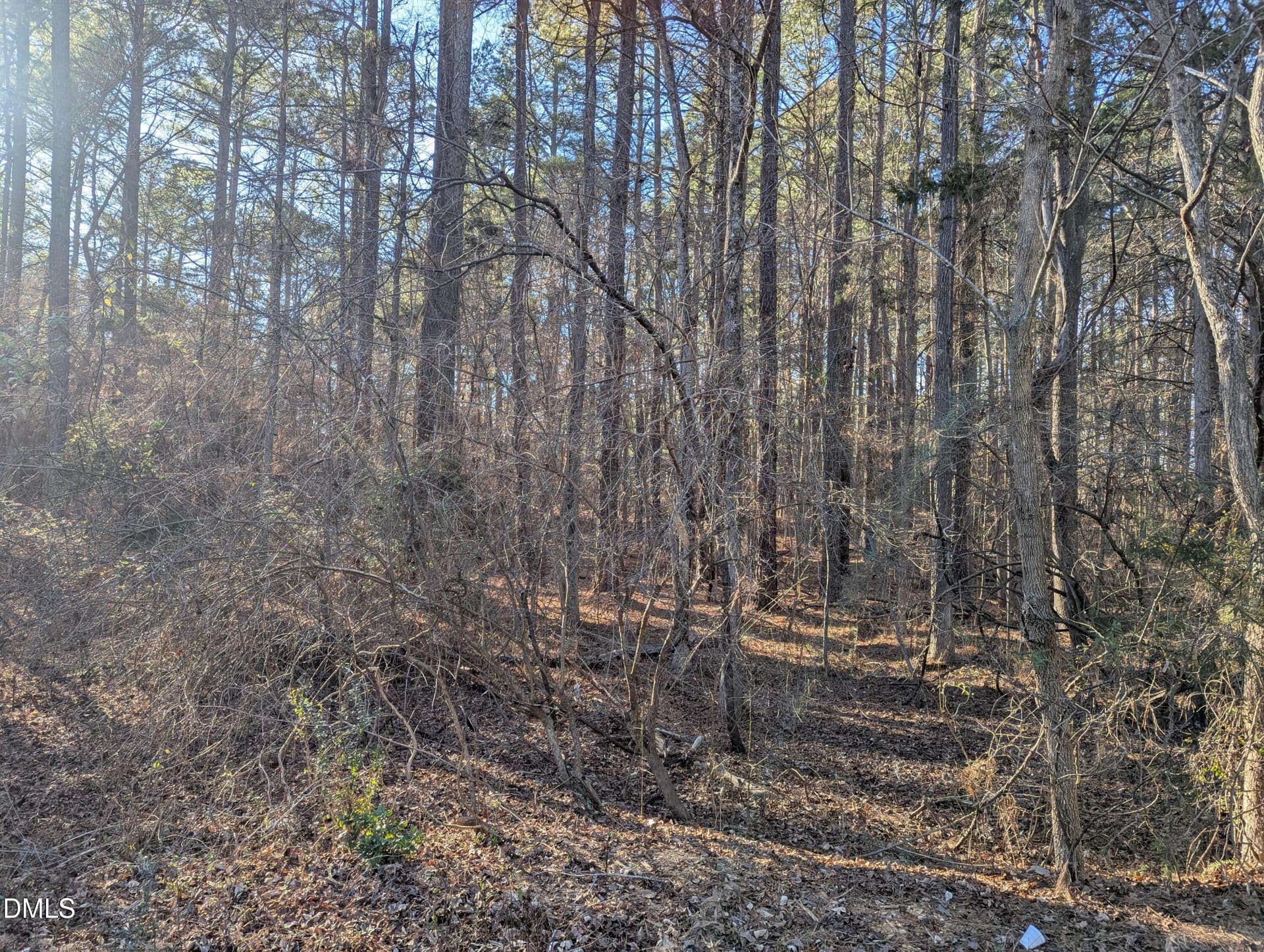 0 Lot 19, Henderson, NC 27537