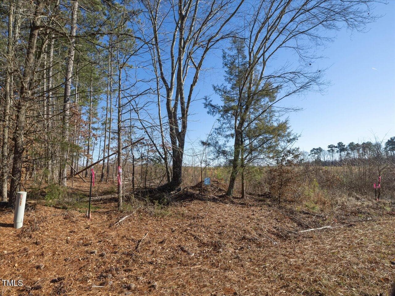 10-010-Chatham-Parcel-8664-Tract2-202501 - 00 Roberts Chapel Road, Goldston, NC 27252