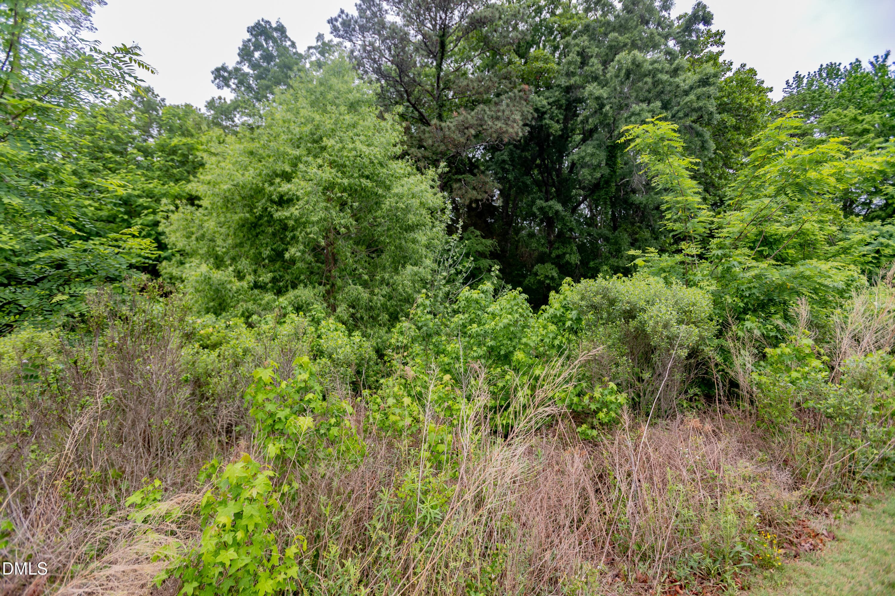 Wooded lot rear view - 1048 Arbor Edge Lane, Durham, NC 27703, Durham