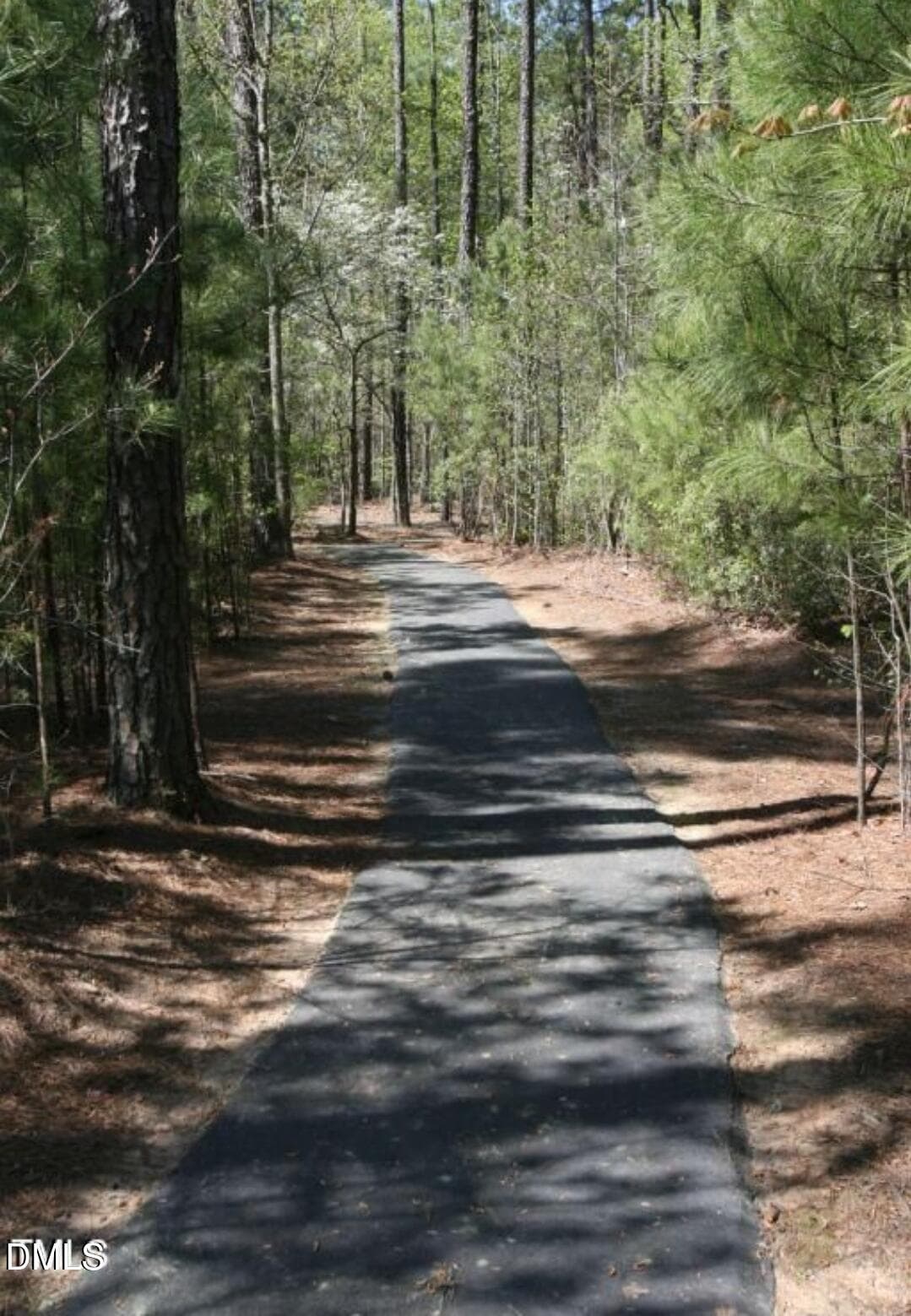 Walking trail - 2920 Cone Manor Lane, Raleigh, NC 27613, Raleigh