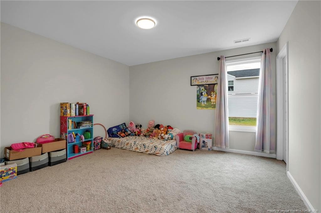 Photo 19 - 64 Dalmation Lane, Parkton, NC 28371