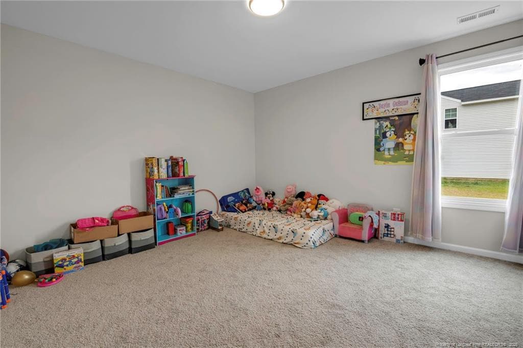 Photo 20 - 64 Dalmation Lane, Parkton, NC 28371