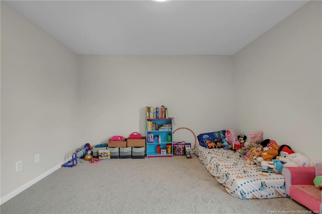 Photo 22 - 64 Dalmation Lane, Parkton, NC 28371