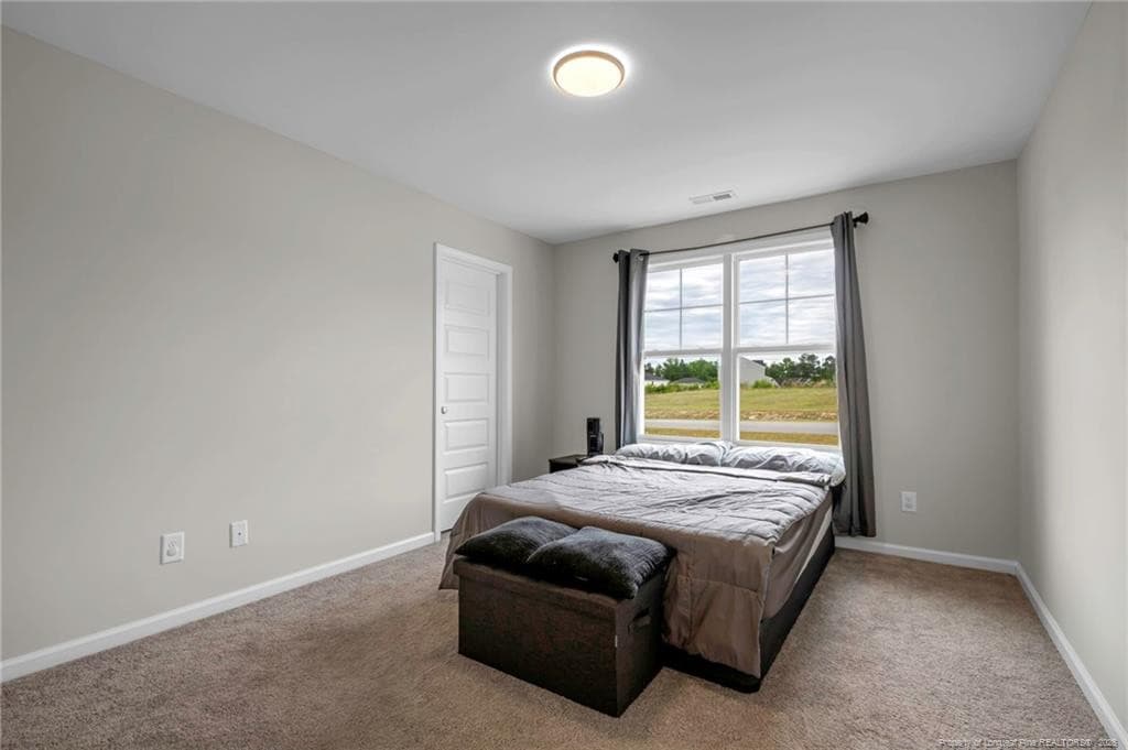 Photo 23 - 64 Dalmation Lane, Parkton, NC 28371