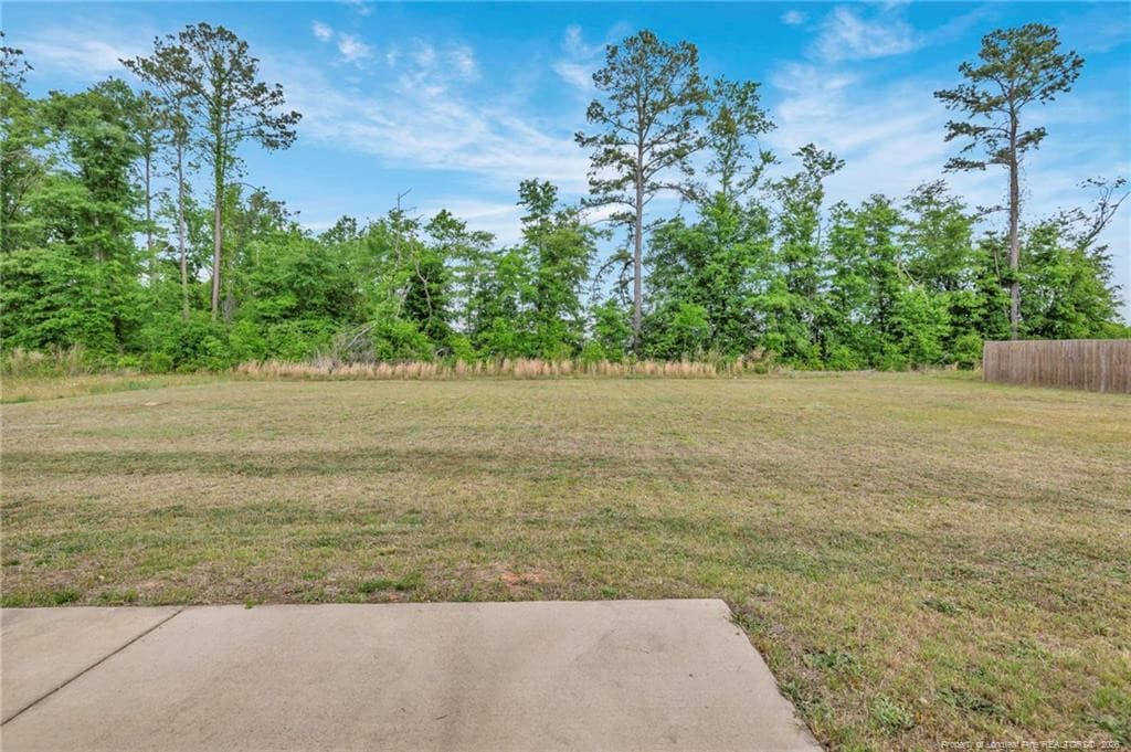 Photo 37 - 64 Dalmation Lane, Parkton, NC 28371