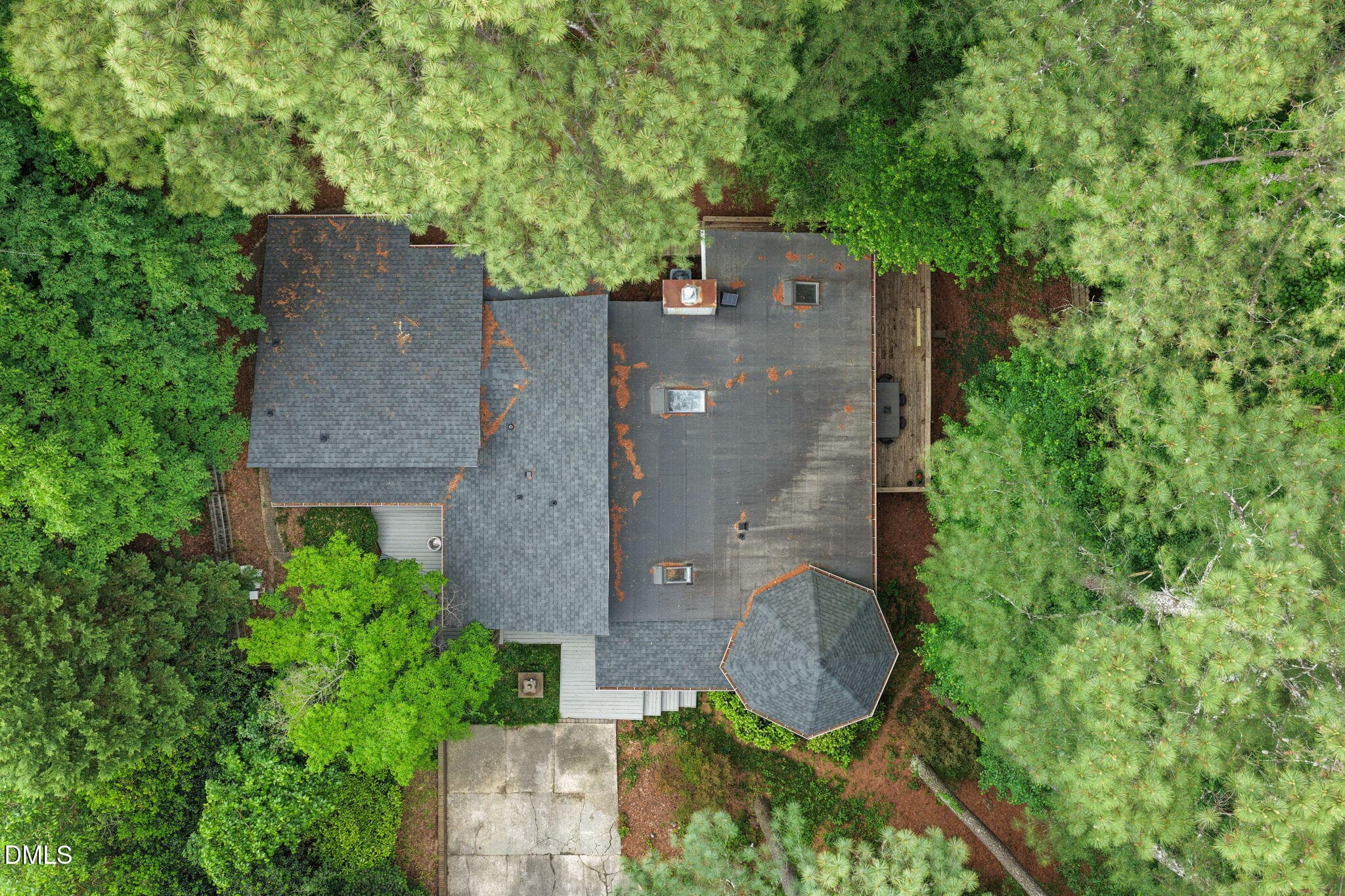 Beautiful Wooded Lot - 1401 Old Trinity Circle, Raleigh, NC 27607, Raleigh